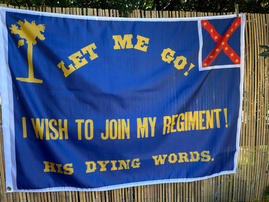 Greenville Ladies Aid Association Hospital Flag