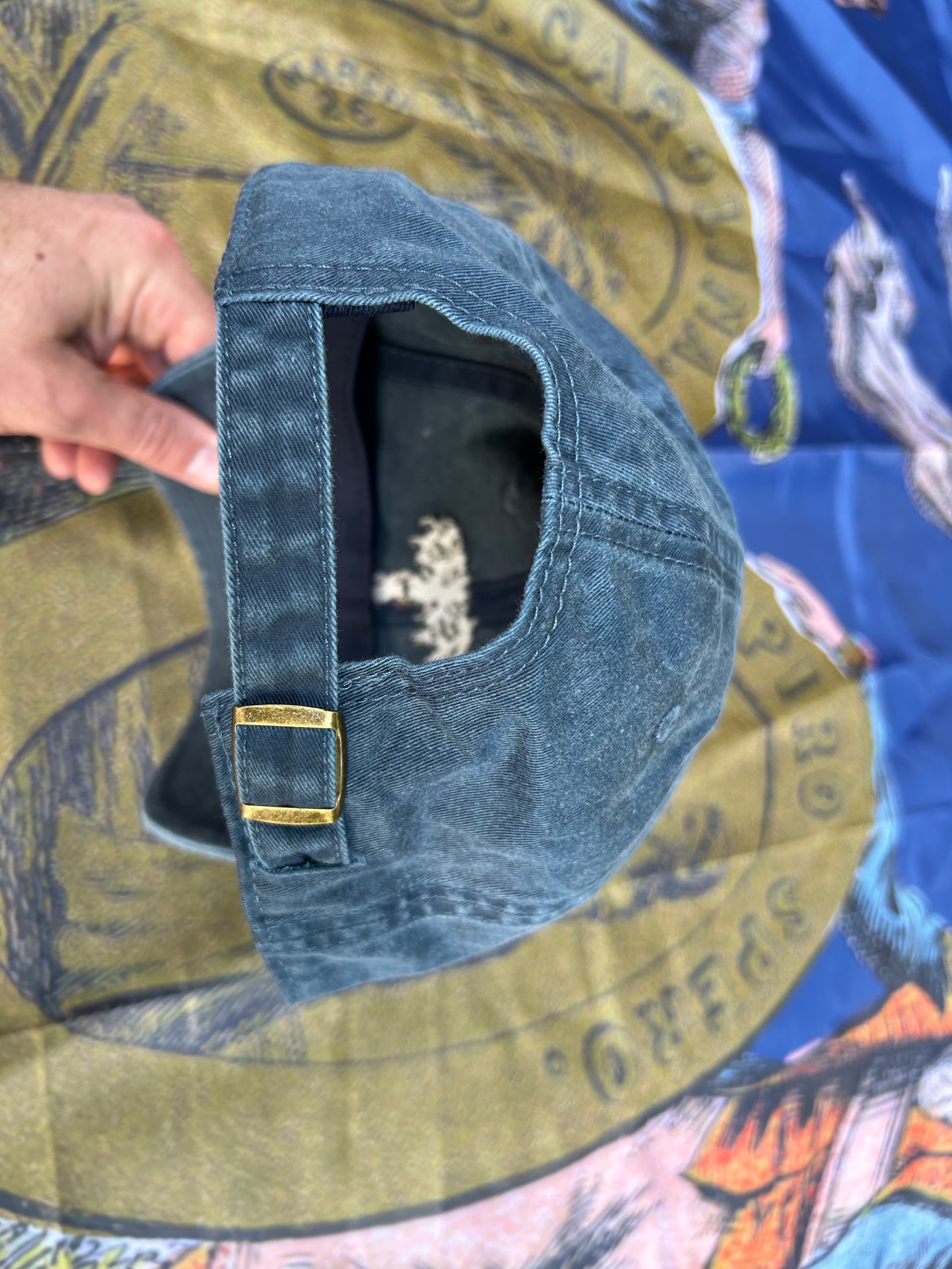 Palmetto Guards Cap