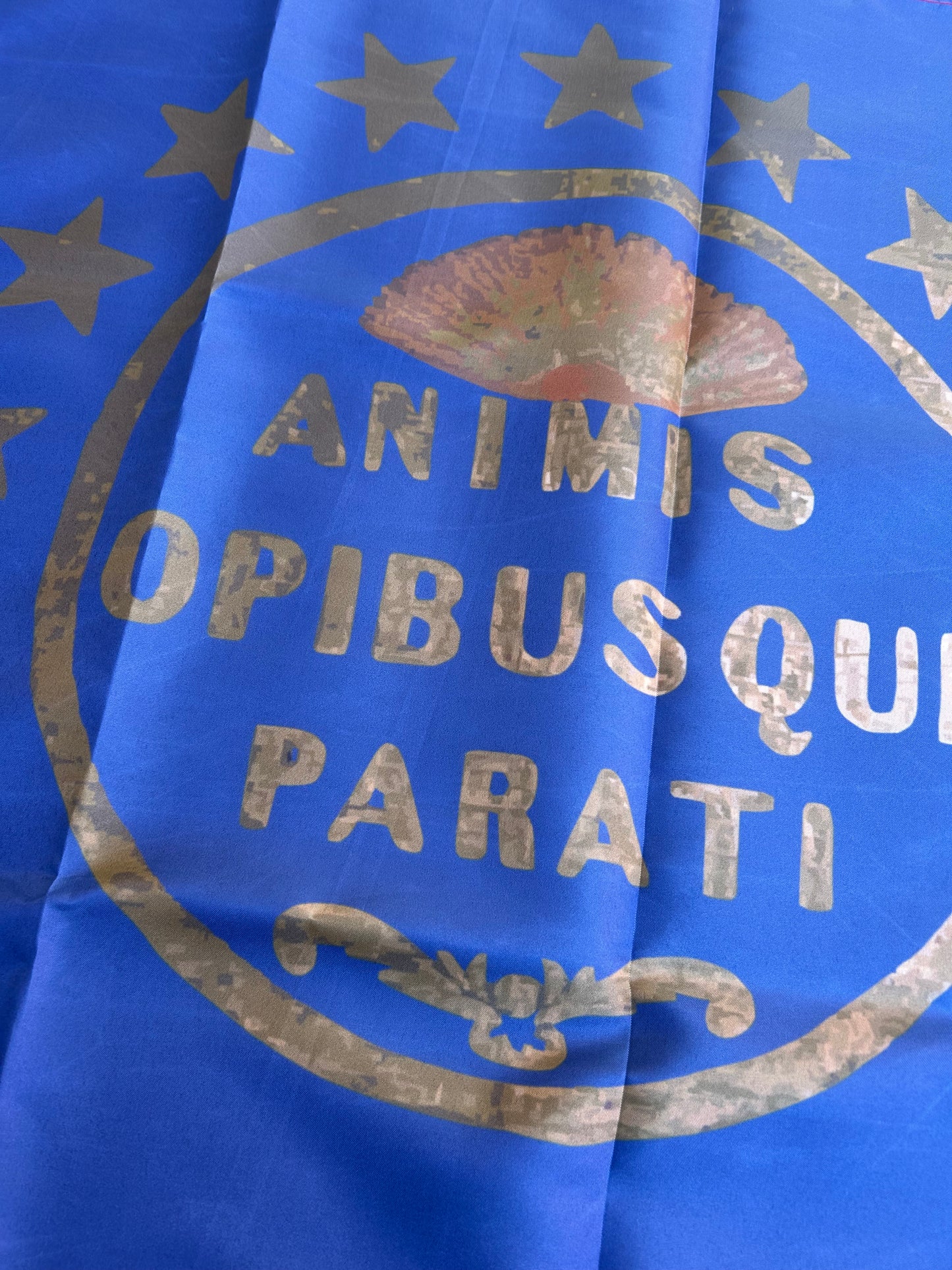 "ANIMIS OPIBUSQUE PARATI" South Carolina First National House Flag