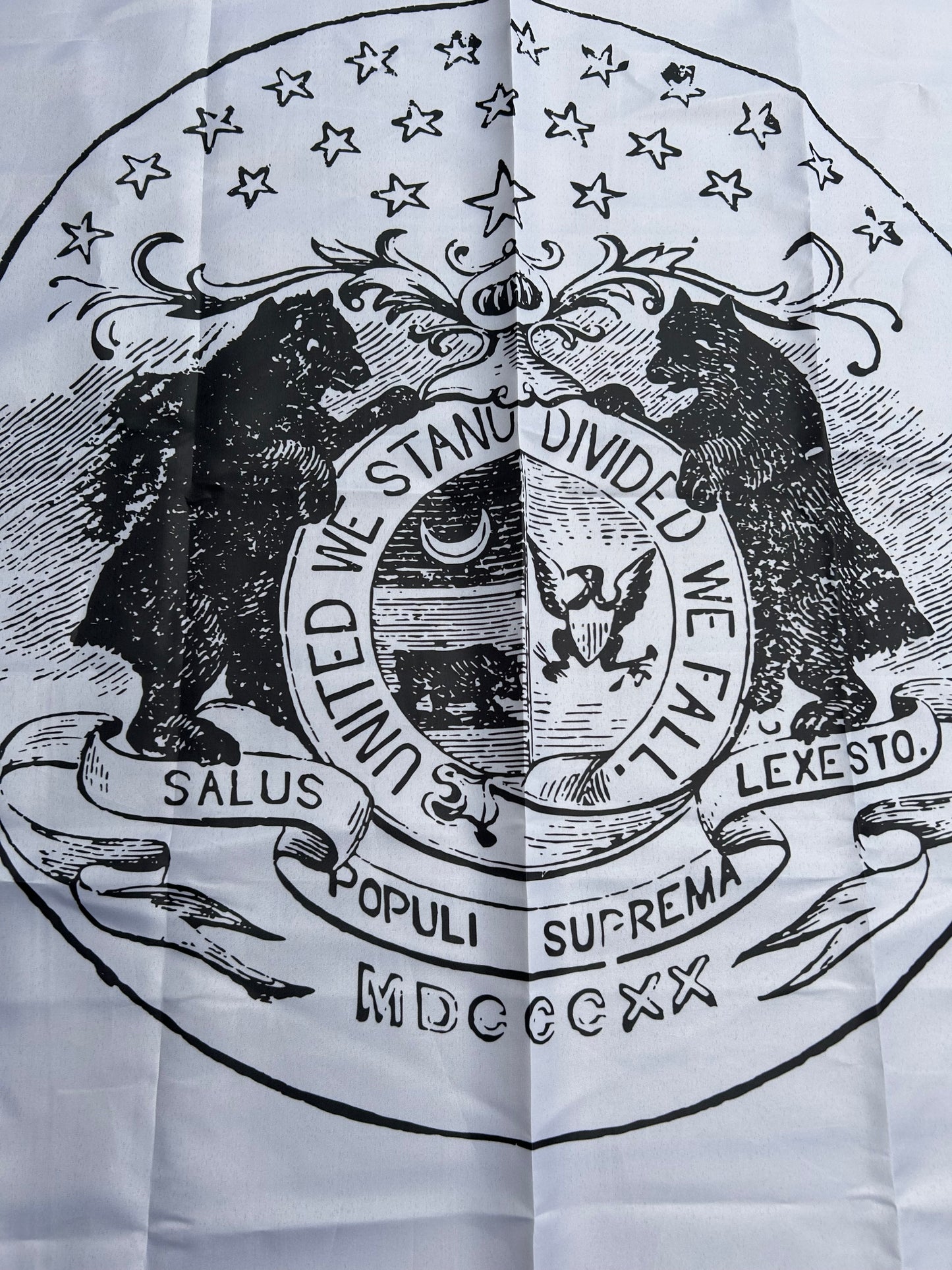 M. Jeff Thompson - Missouri State Guard Regimental Flags