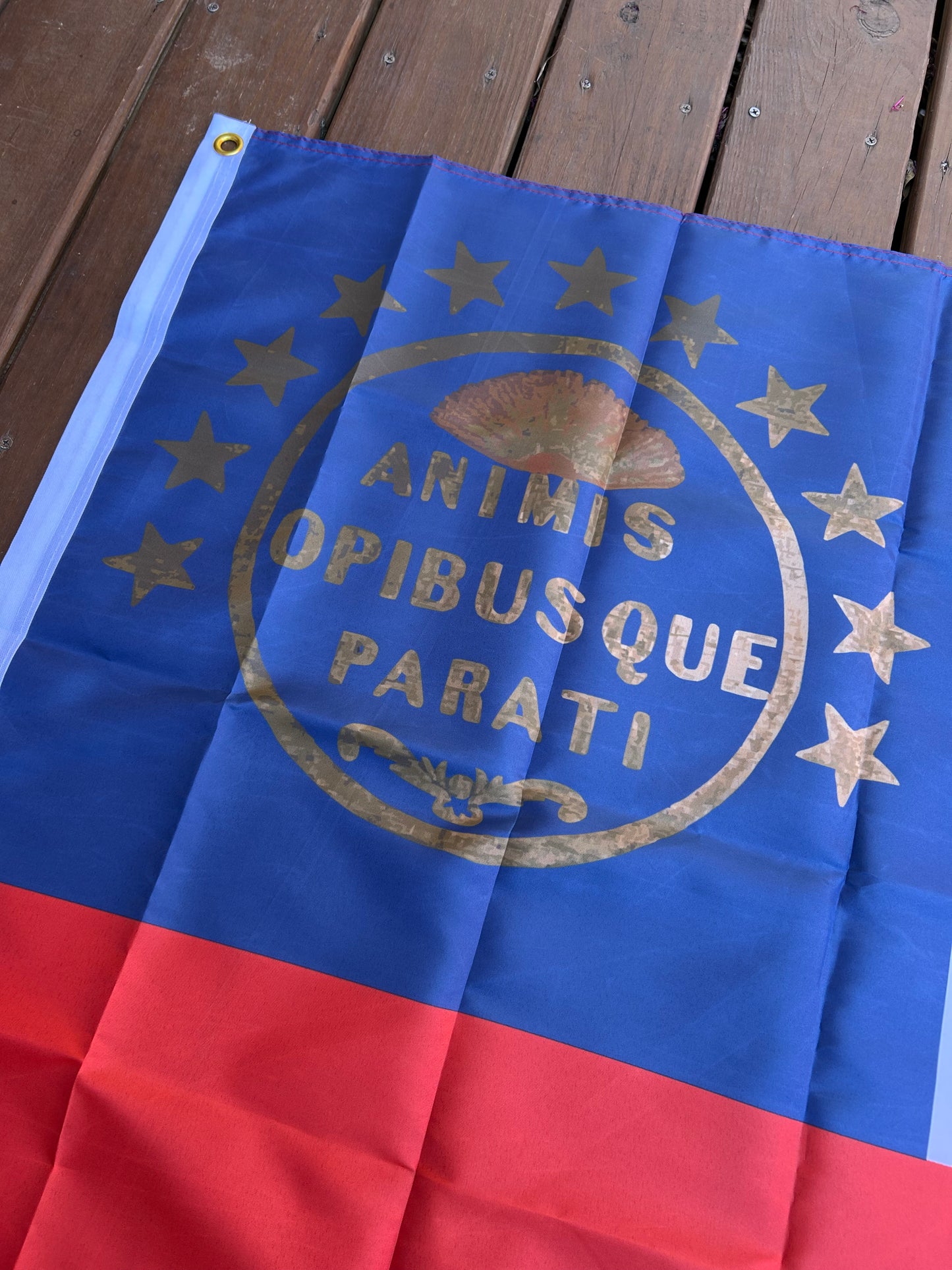 "ANIMIS OPIBUSQUE PARATI" South Carolina First National House Flag