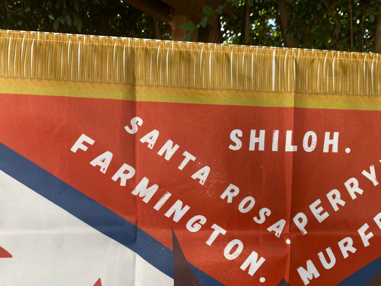 1st and 3rd Florida Infantry House Flag
