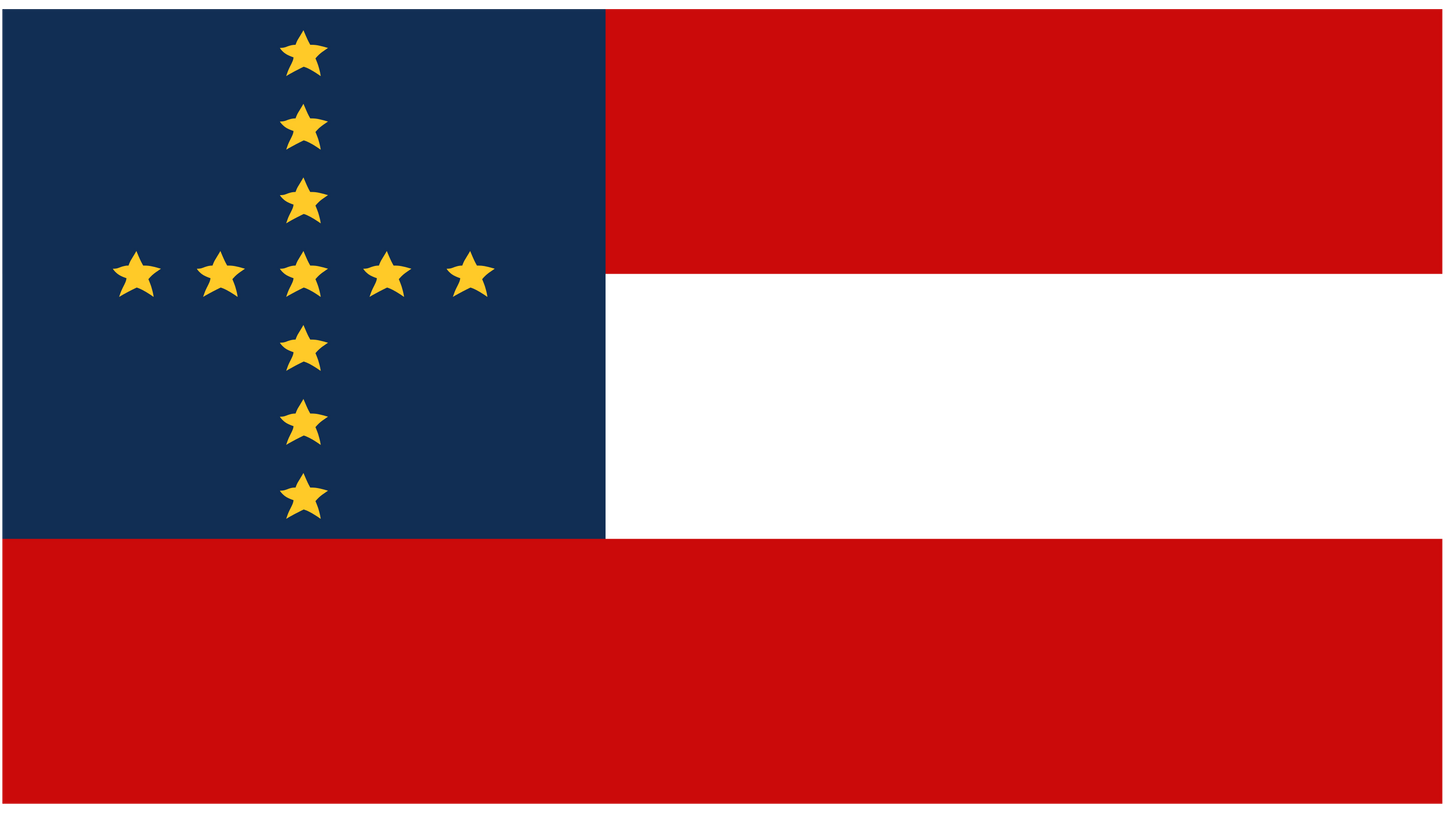Manassas Junction 1st National Flag