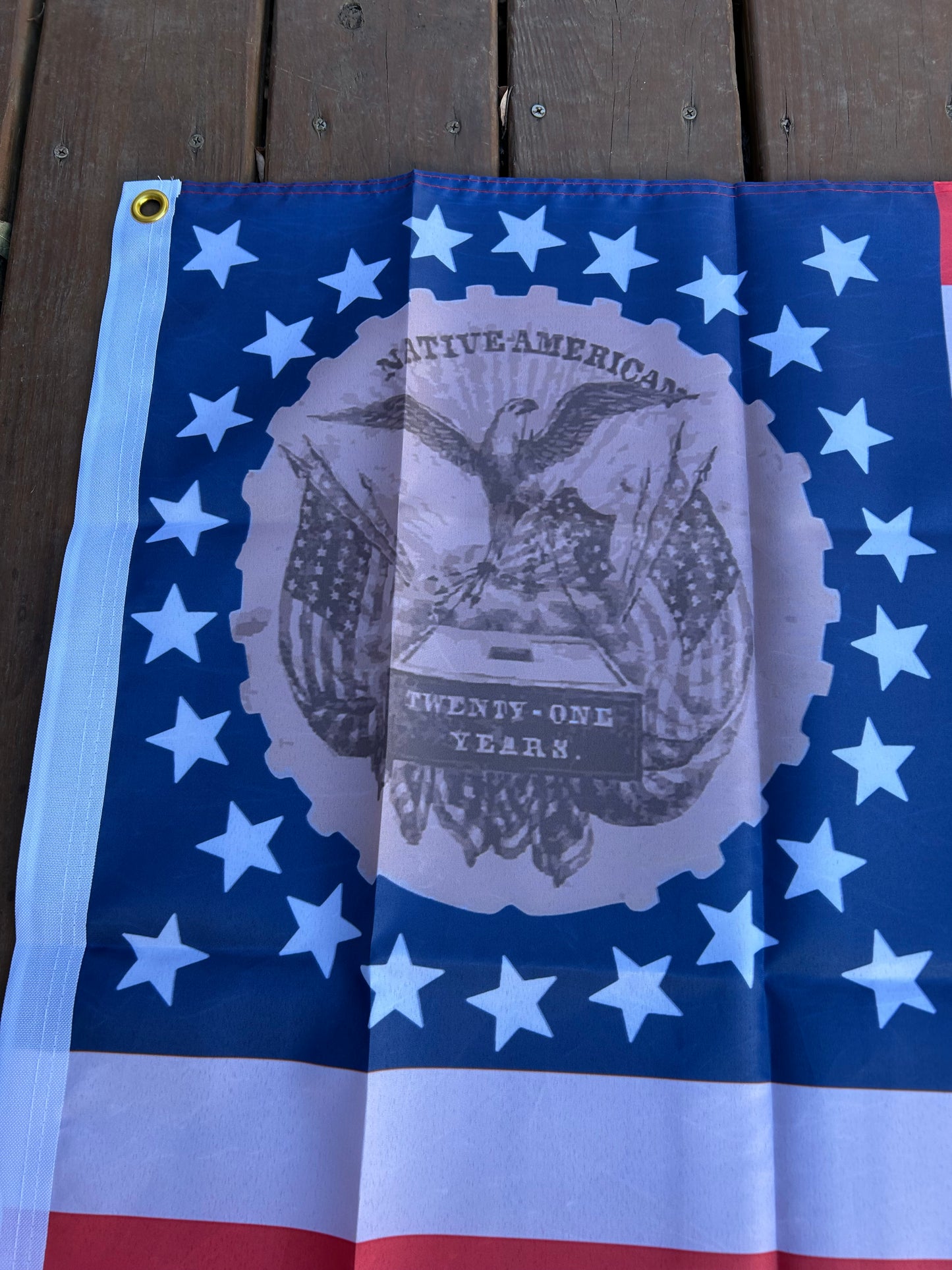 "Beware of Foreign Influence" - Know Nothing Party Flag
