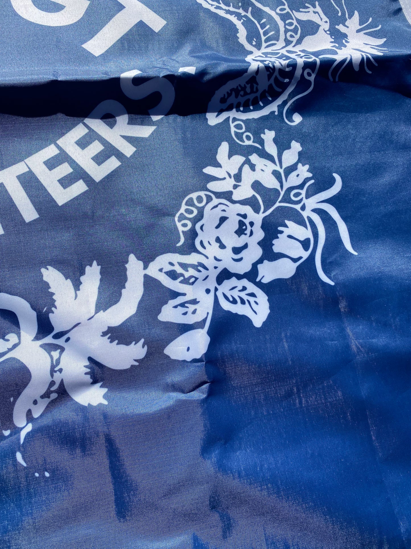 Gregg's 1st South Carolina Infantry Flag