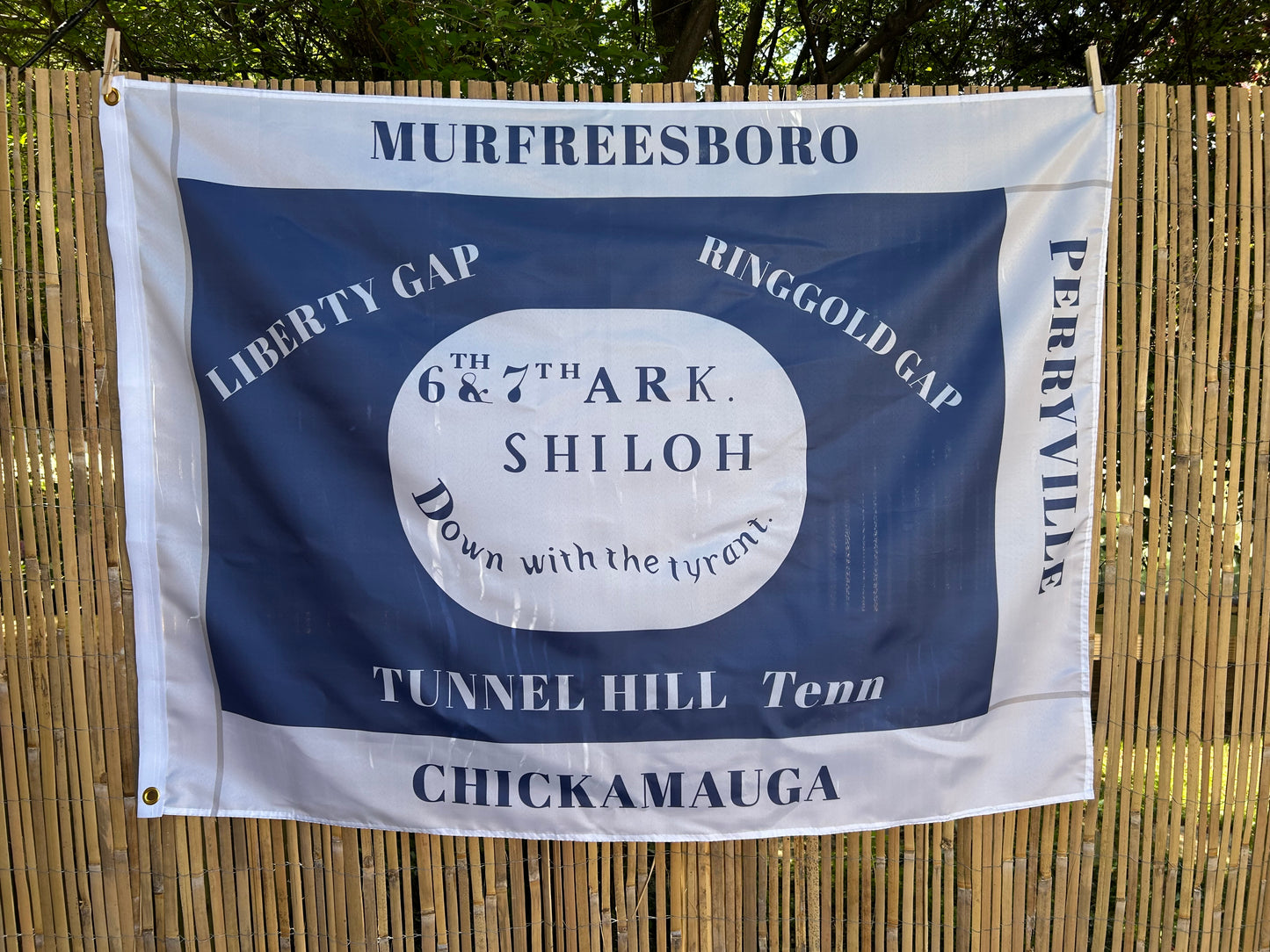 "Down with the Tyrants" 6th and 7th Arkansas Hardee House Flag