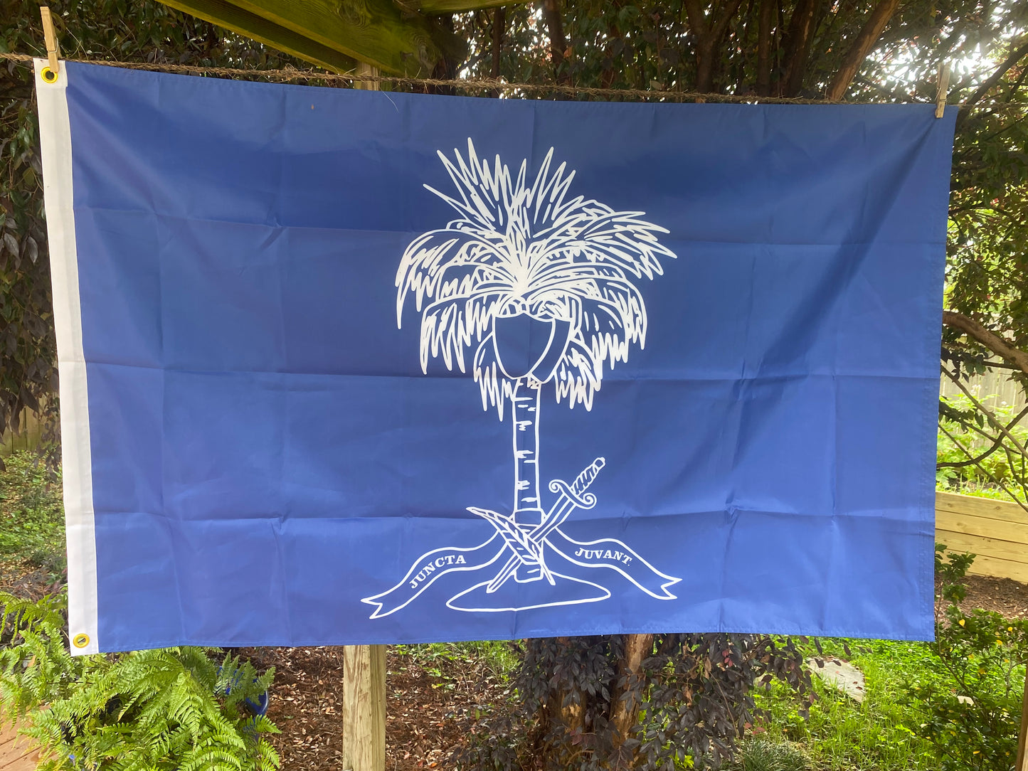 South Carolina College Cadets Flag