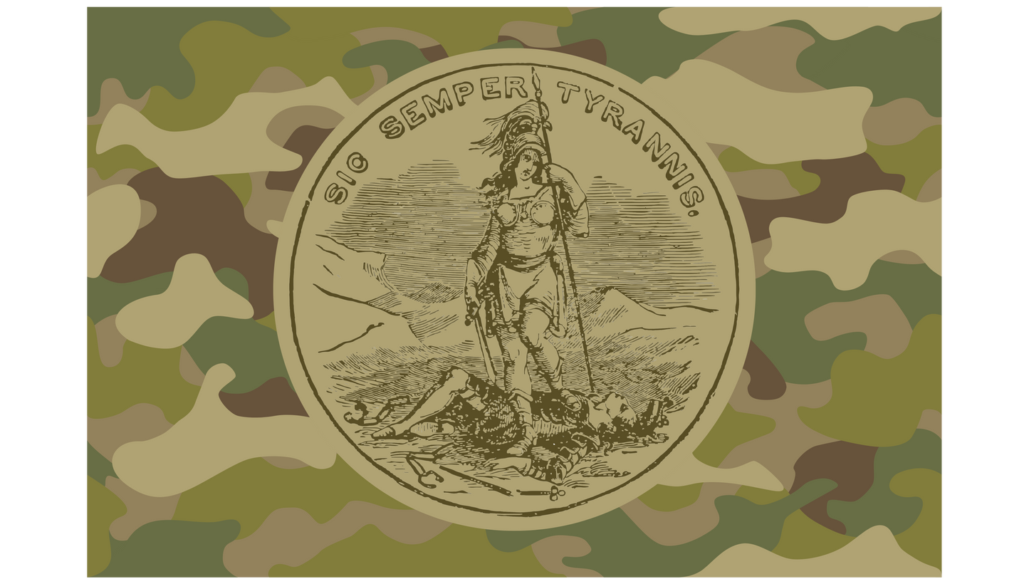 Virginia Camouflage Flag Stickers/Magnet