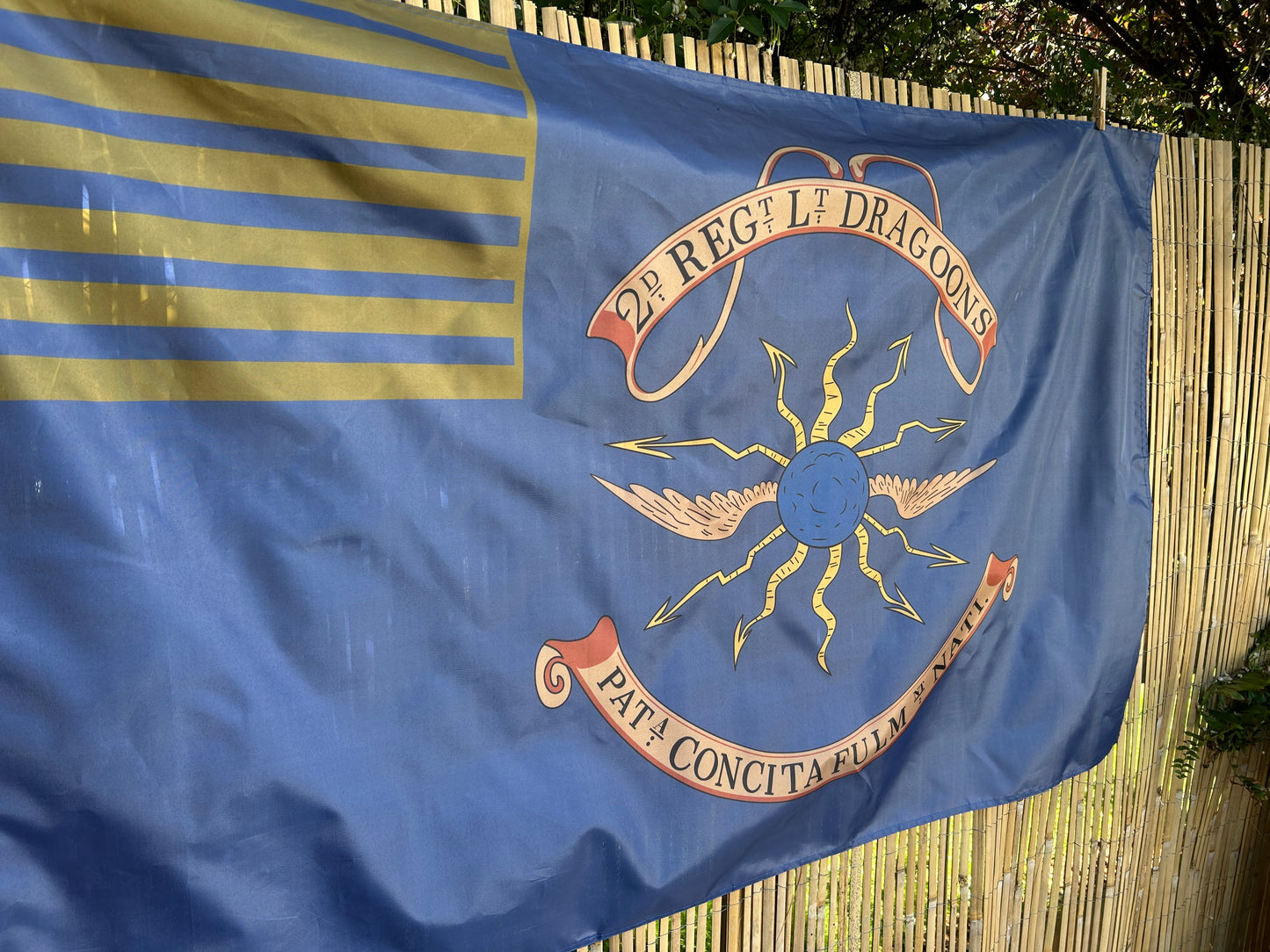 2nd Continental Light Dragoons Flag
