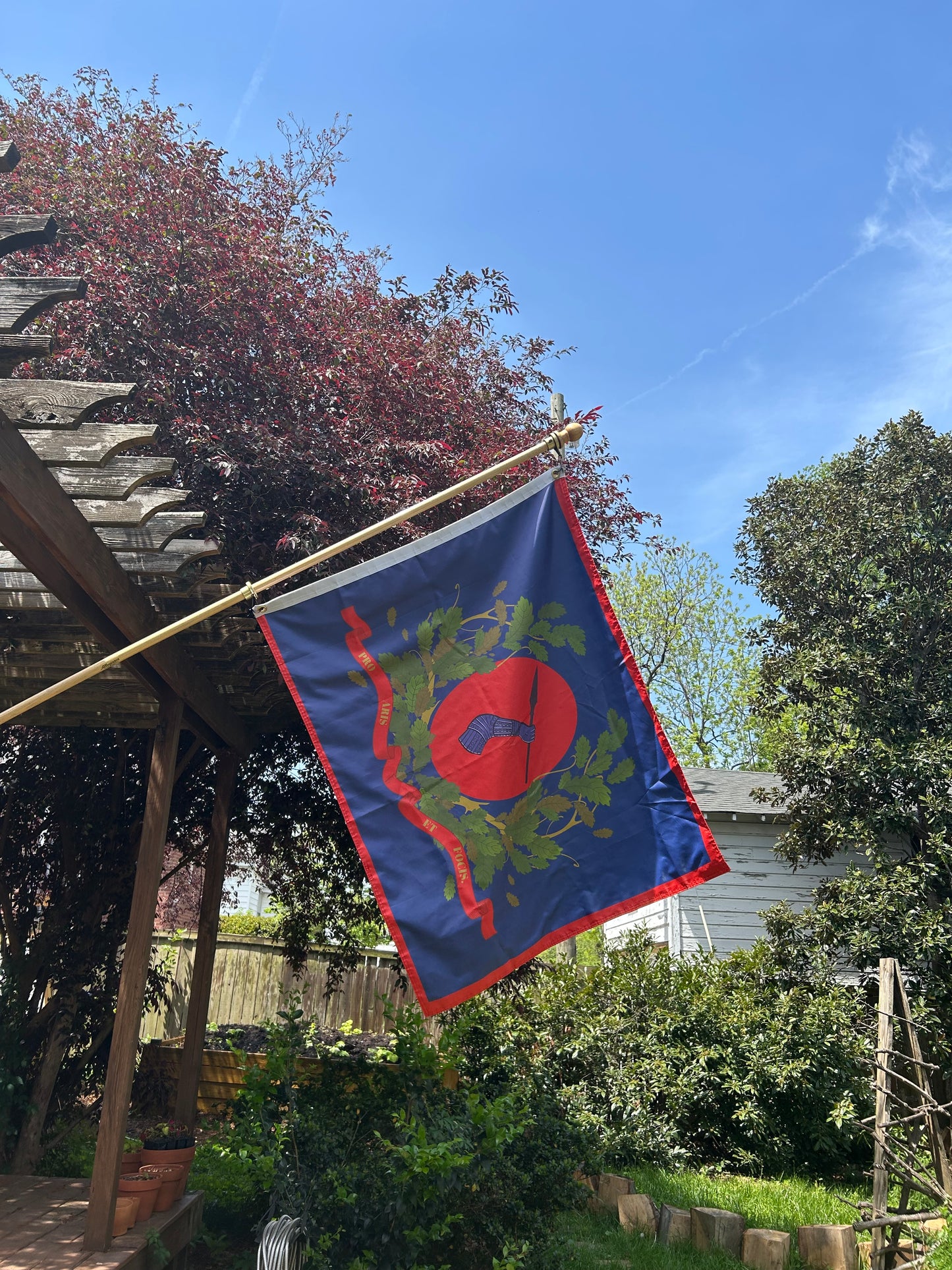 "Pro aris et focis" - "for hearth and home" - 3rd Georgia Regimental House Flag