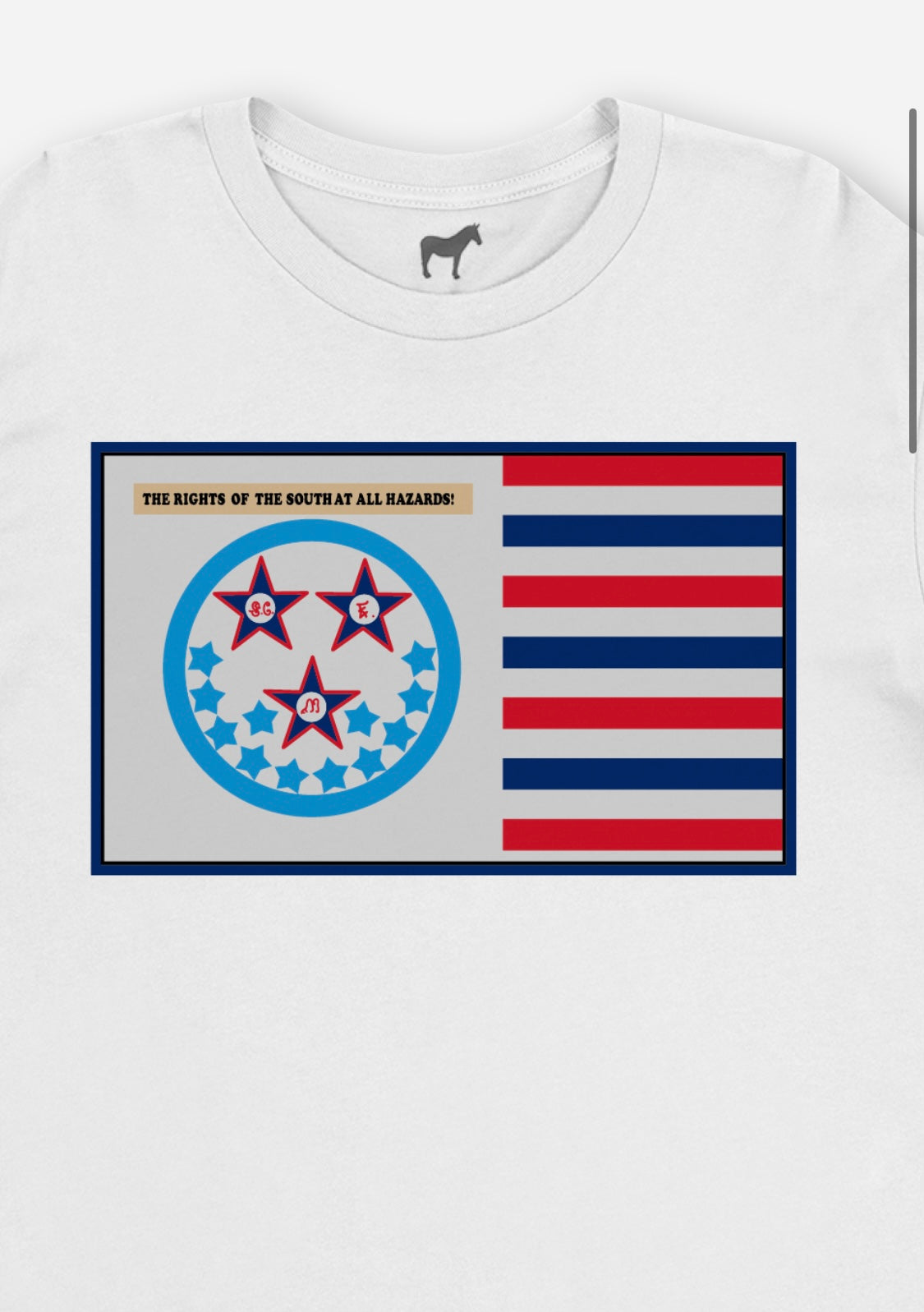 "The Rights of the South at All Hazards!" Florida Secession Flag Shirt
