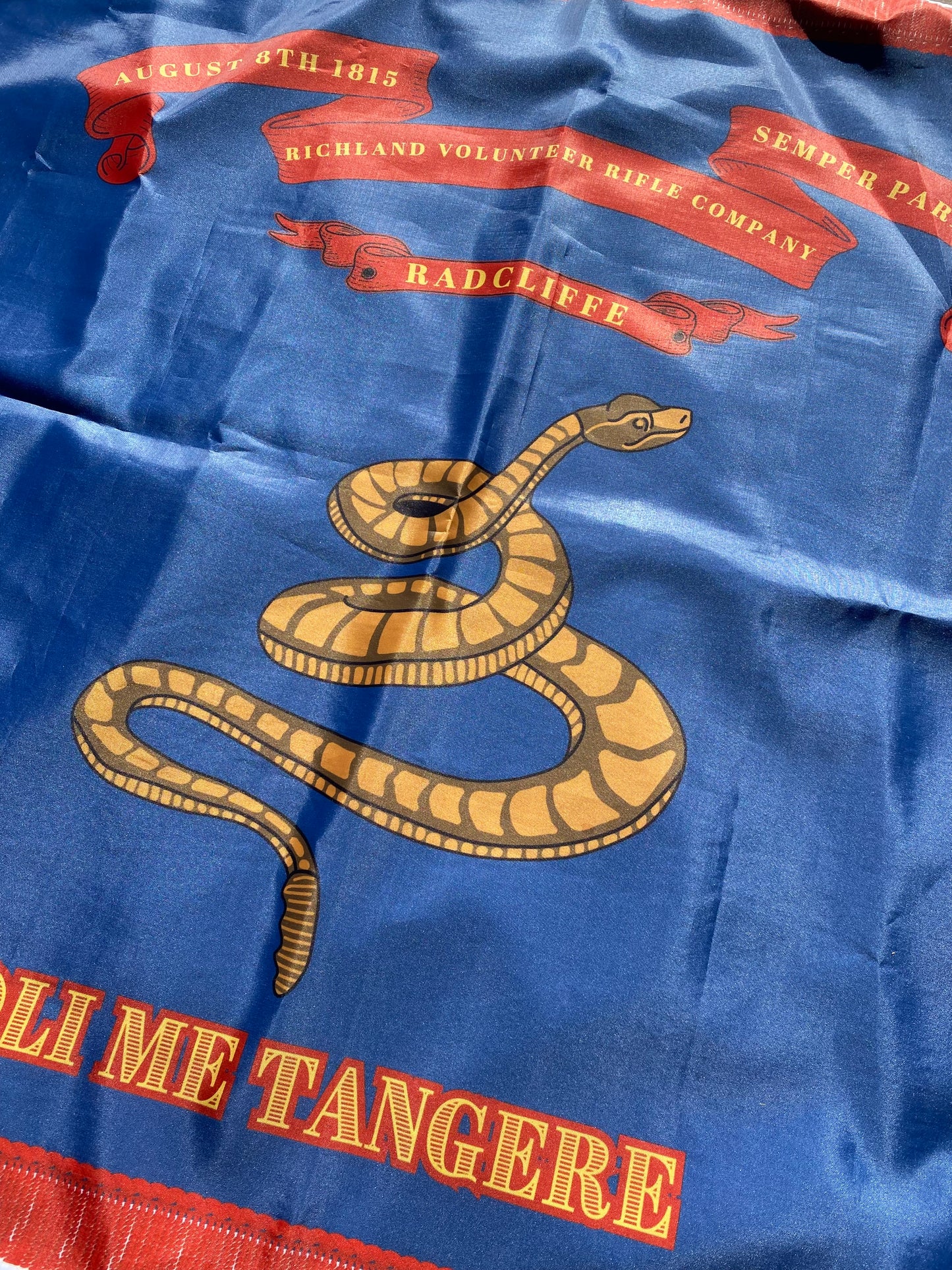 Gregg's 1st South Carolina - Richland Volunteer's Flag