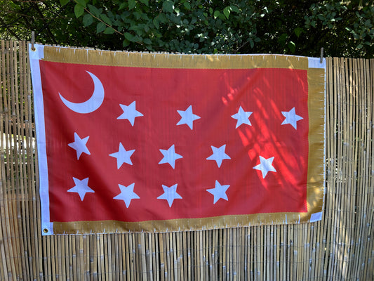 4th Missouri House Flag