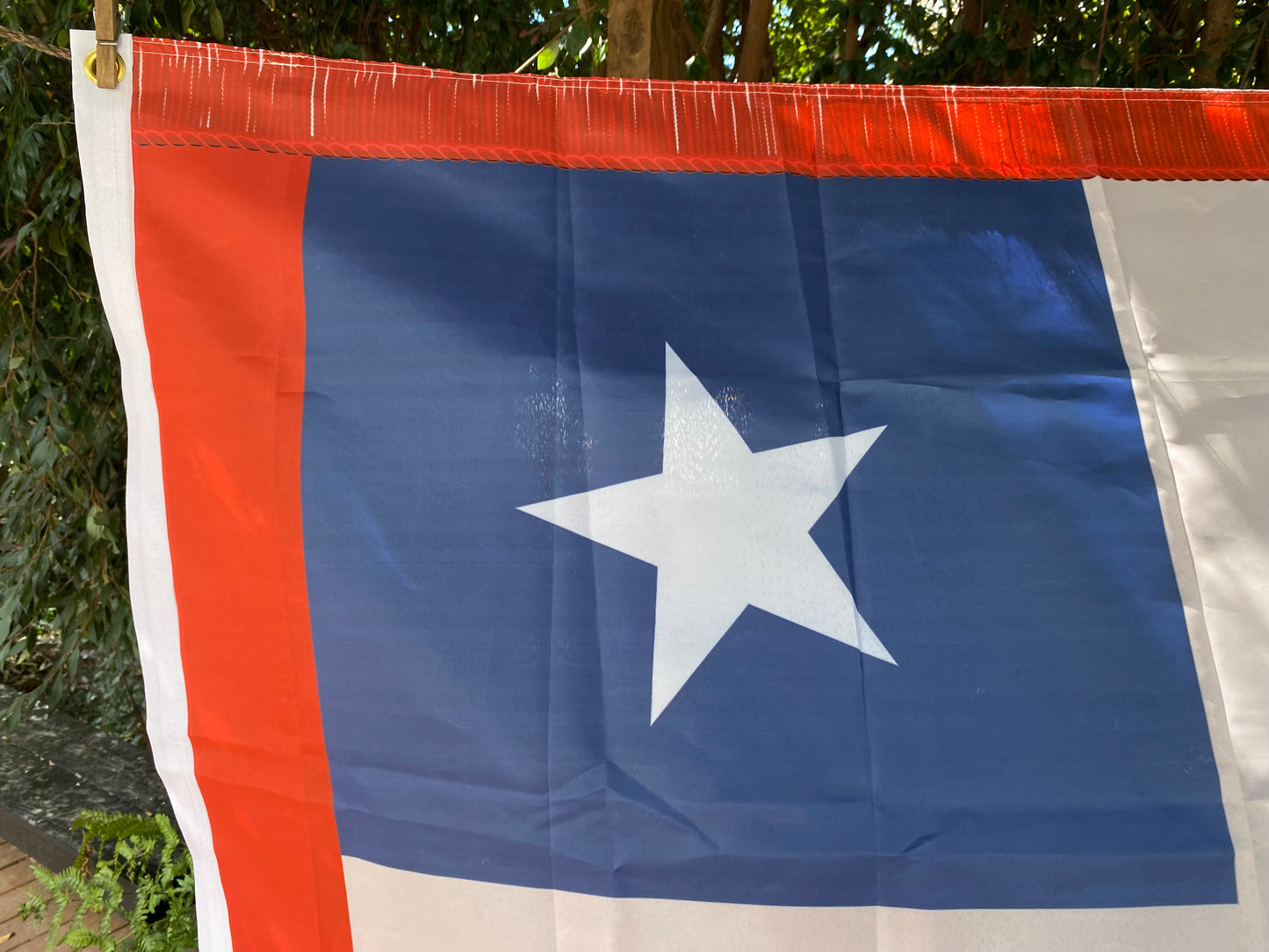 3rd Mississippi Infantry House Flag