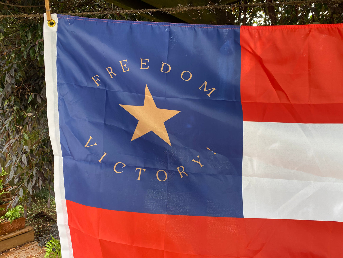 35th North Carolina House Flag