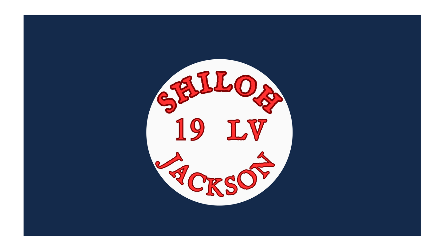 19th Louisiana Infantry Hardee Flag