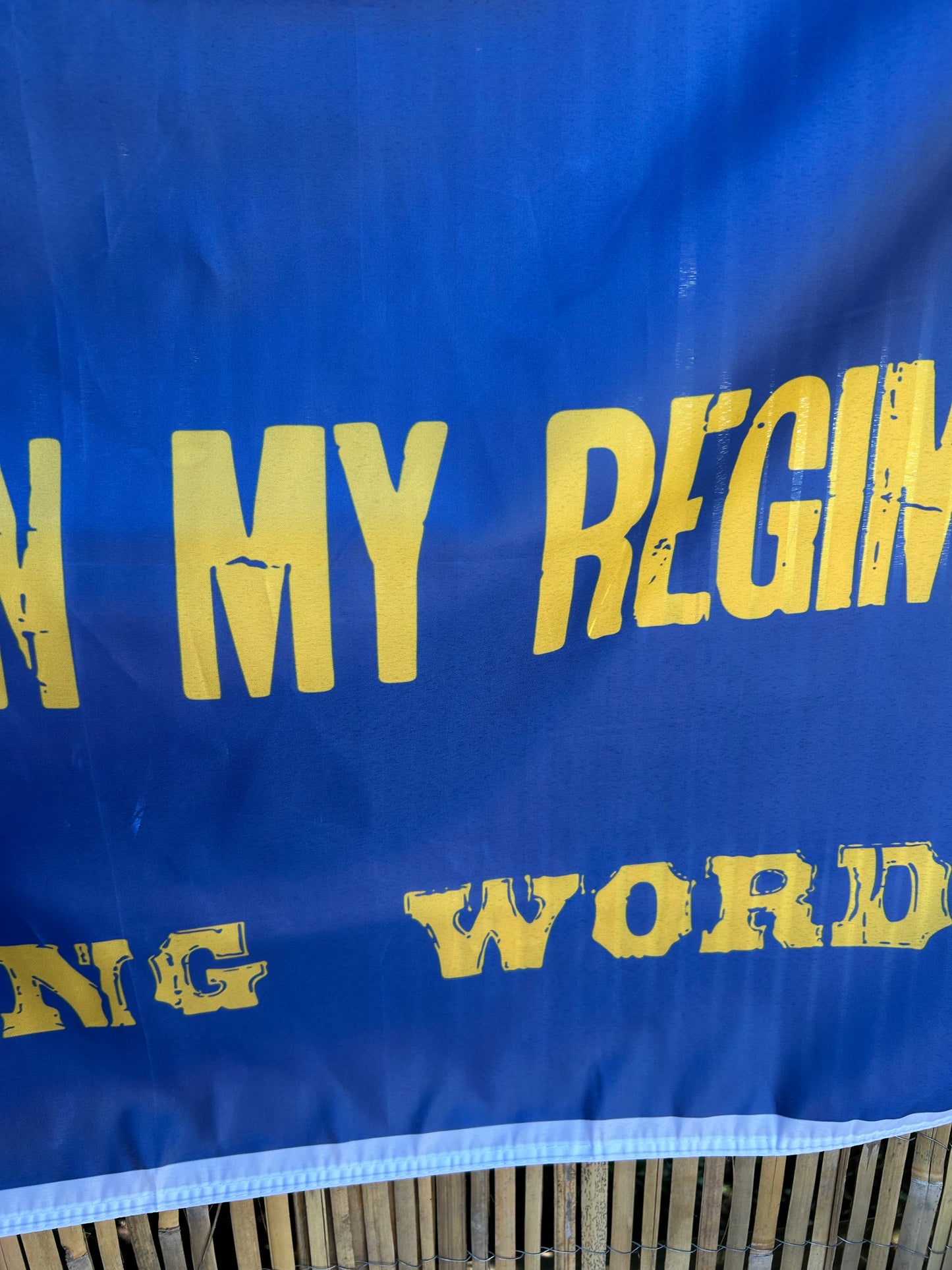 Greenville Ladies Aid Association Hospital Flag