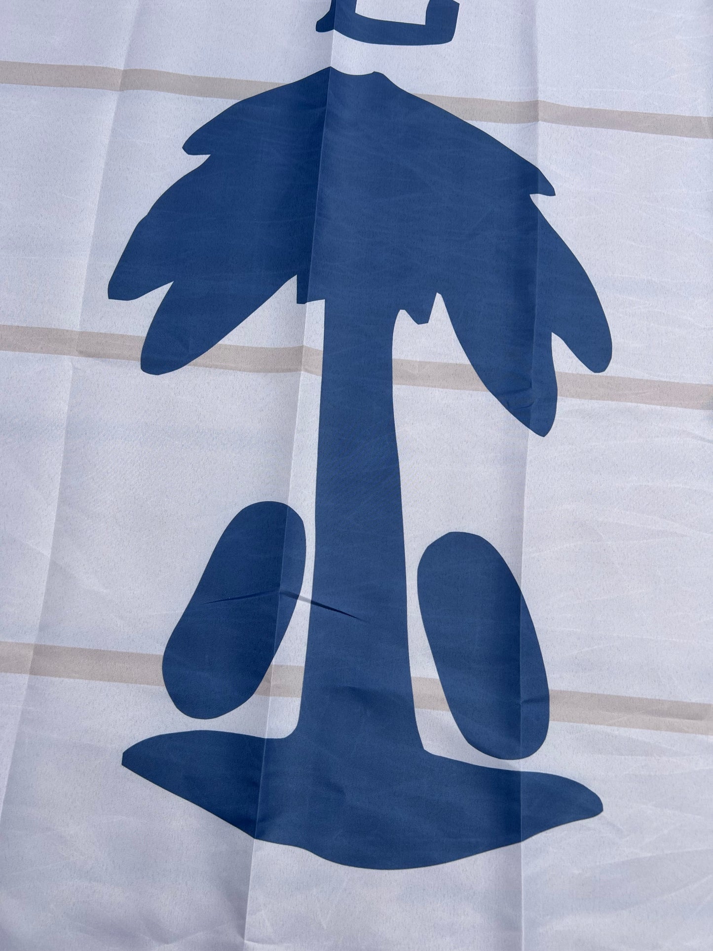 Williamsburg Light Dragoons Flag