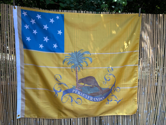 "3rd Virginia Detachment" Flag