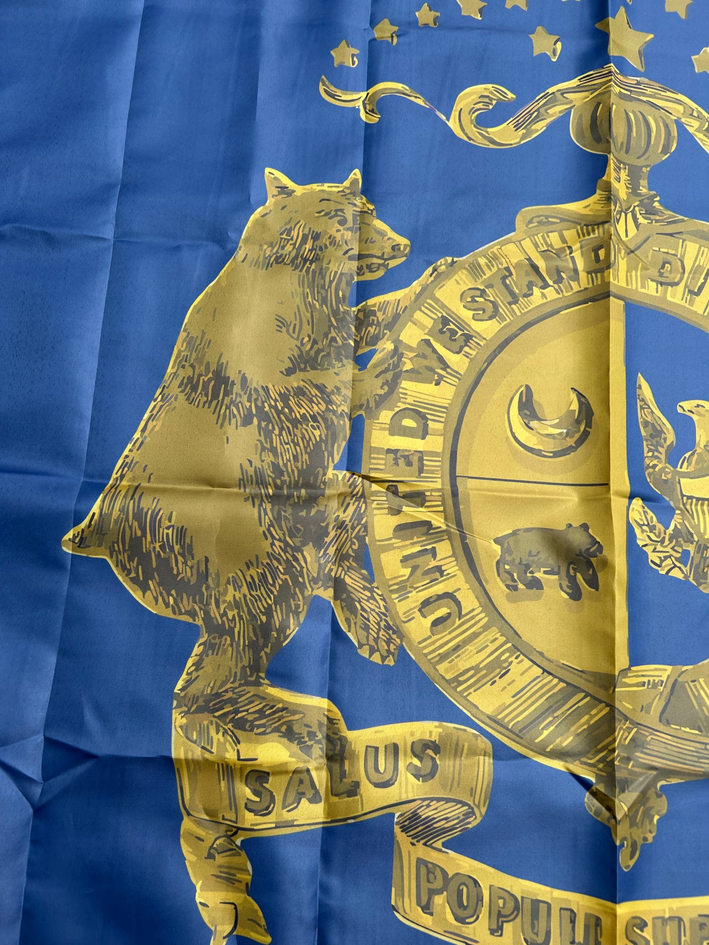 Missouri State Guard Regimental Flags