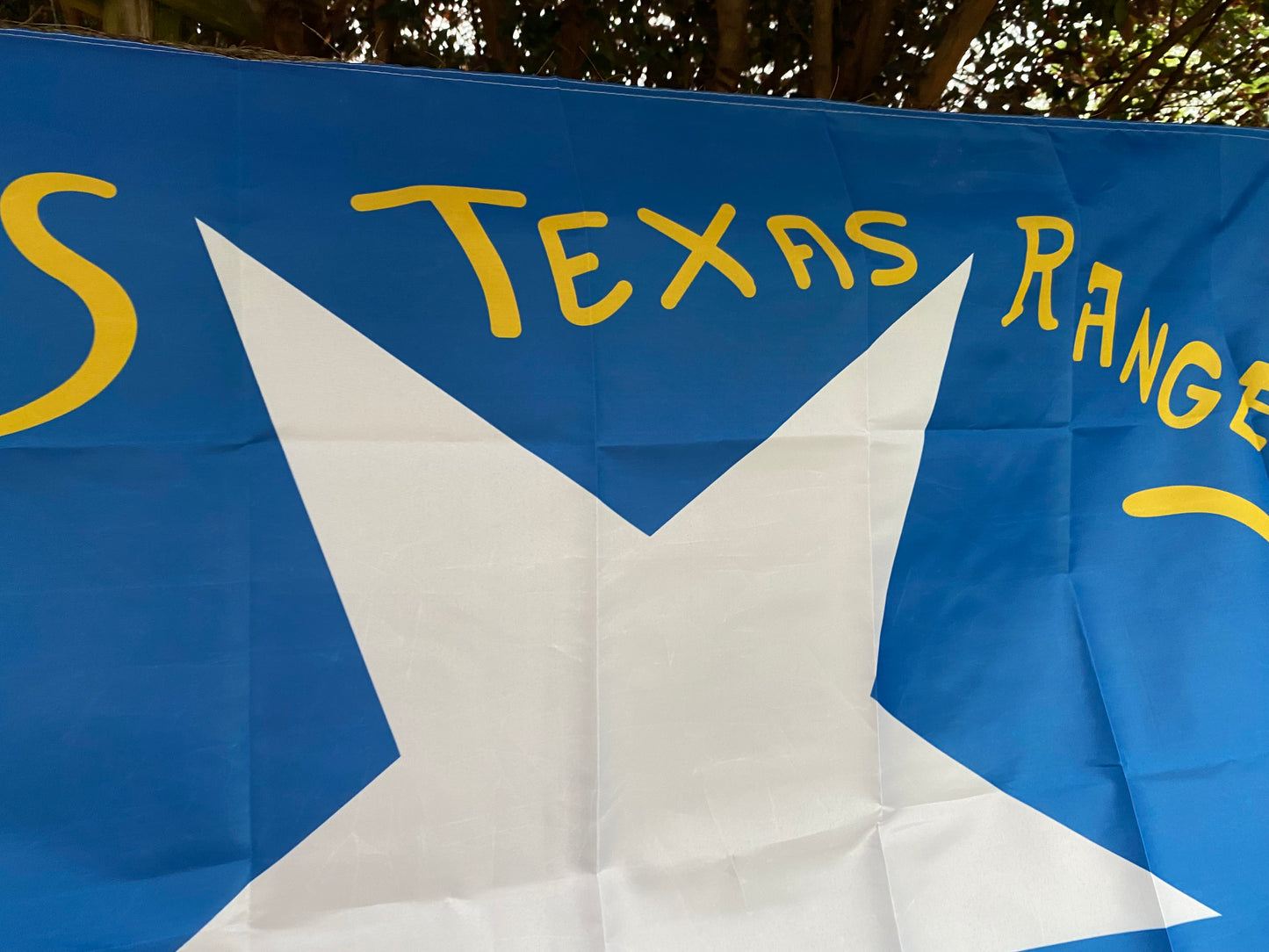 Terry's Texas Rangers - 8th Texas Cavalry - Flag House Flag