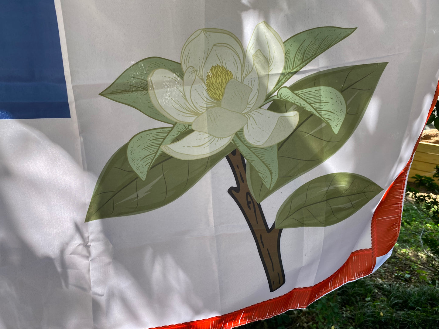 3rd Mississippi Infantry House Flag
