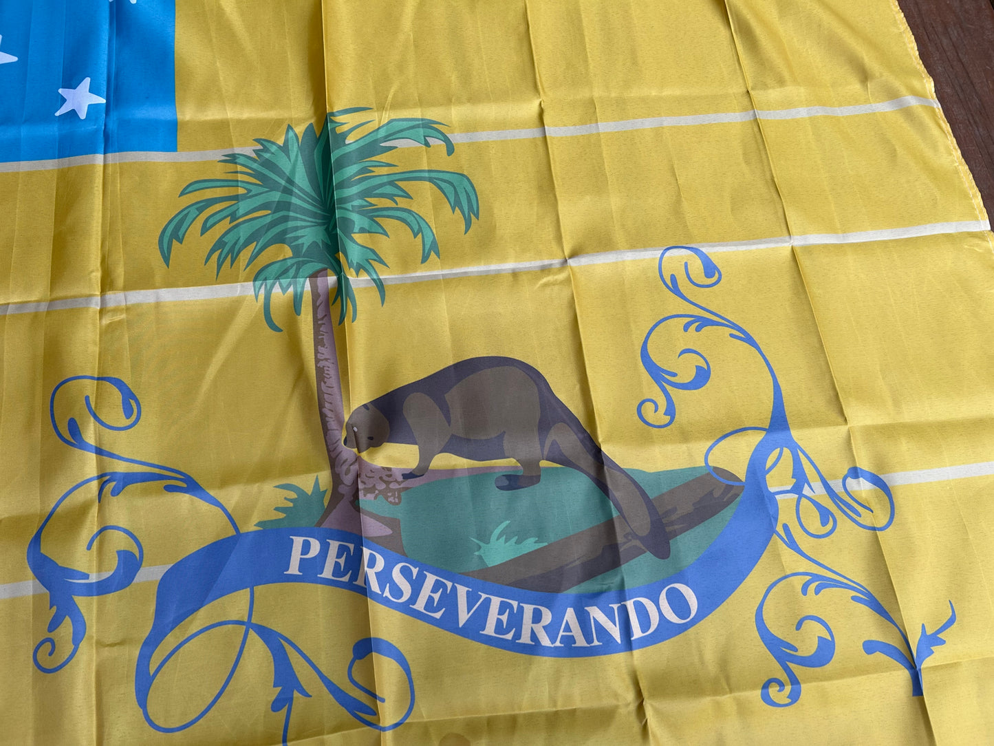 "3rd Virginia Detachment" Flag