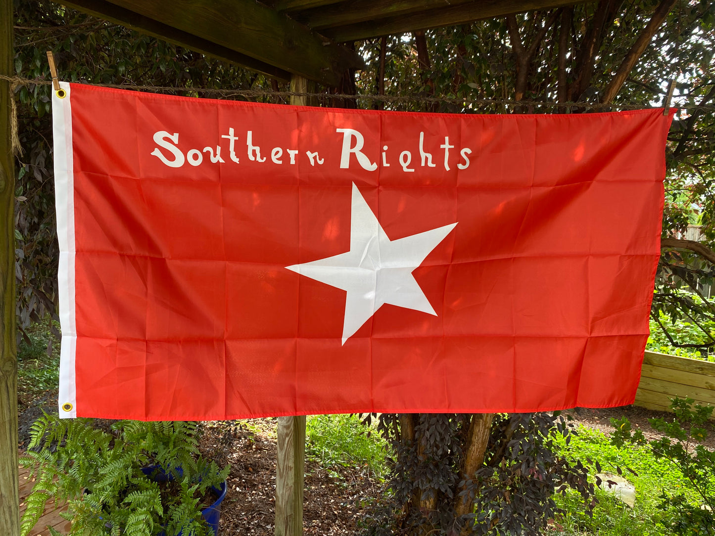 "Southern Rights" - South Carolina Palmetto Guard - Bleeding Kansas Flag