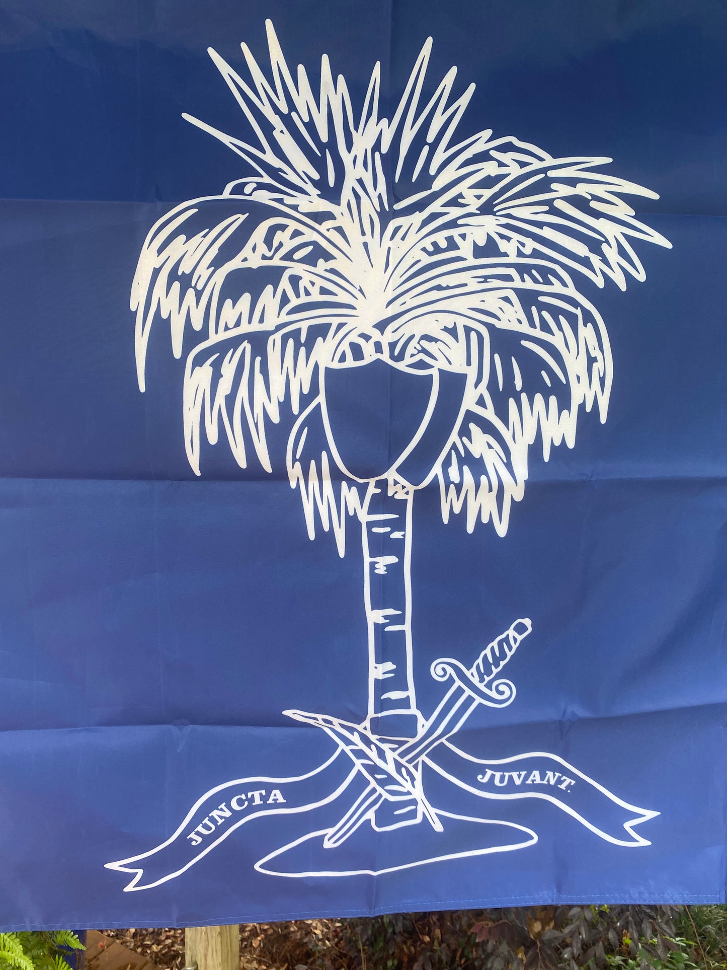 South Carolina College Cadets Flag