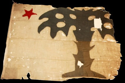 South Carolina Palmetto Guards Flag T-Shirt