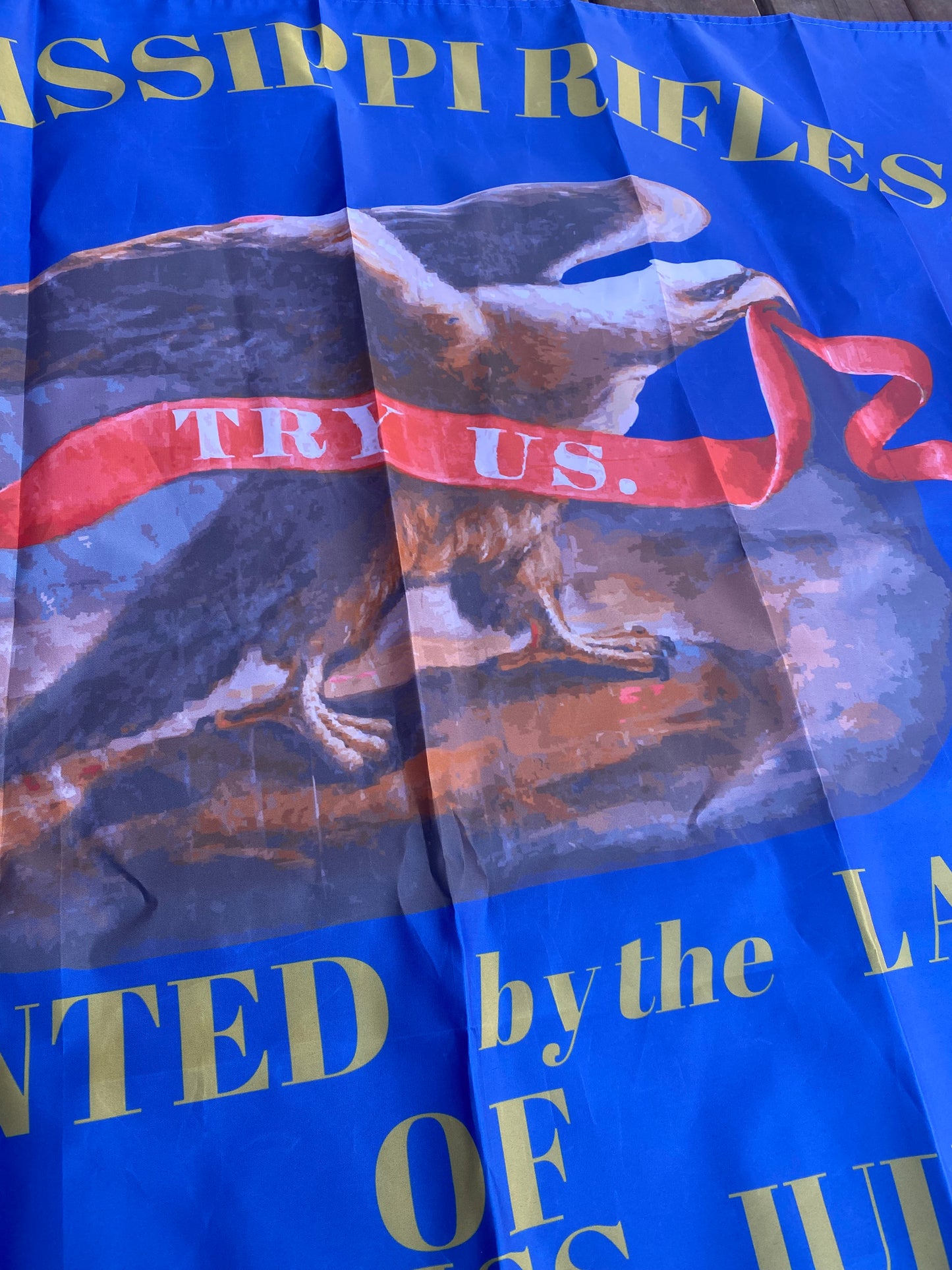 "Try us" - 10th Mississippi Company A Flag