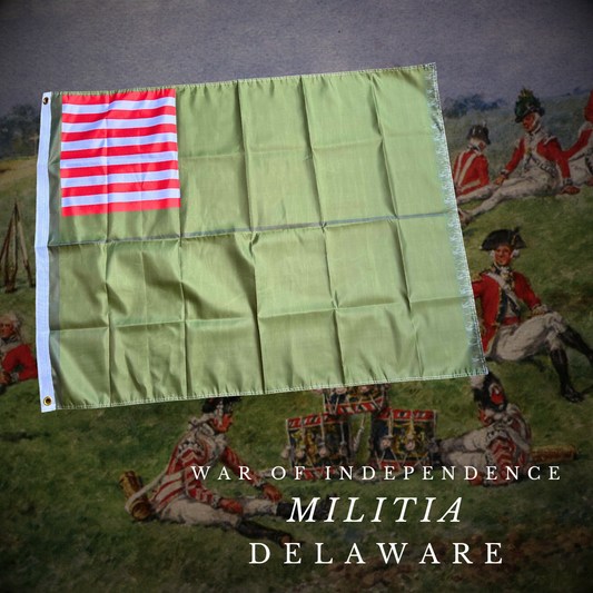 Delaware Militia Flag