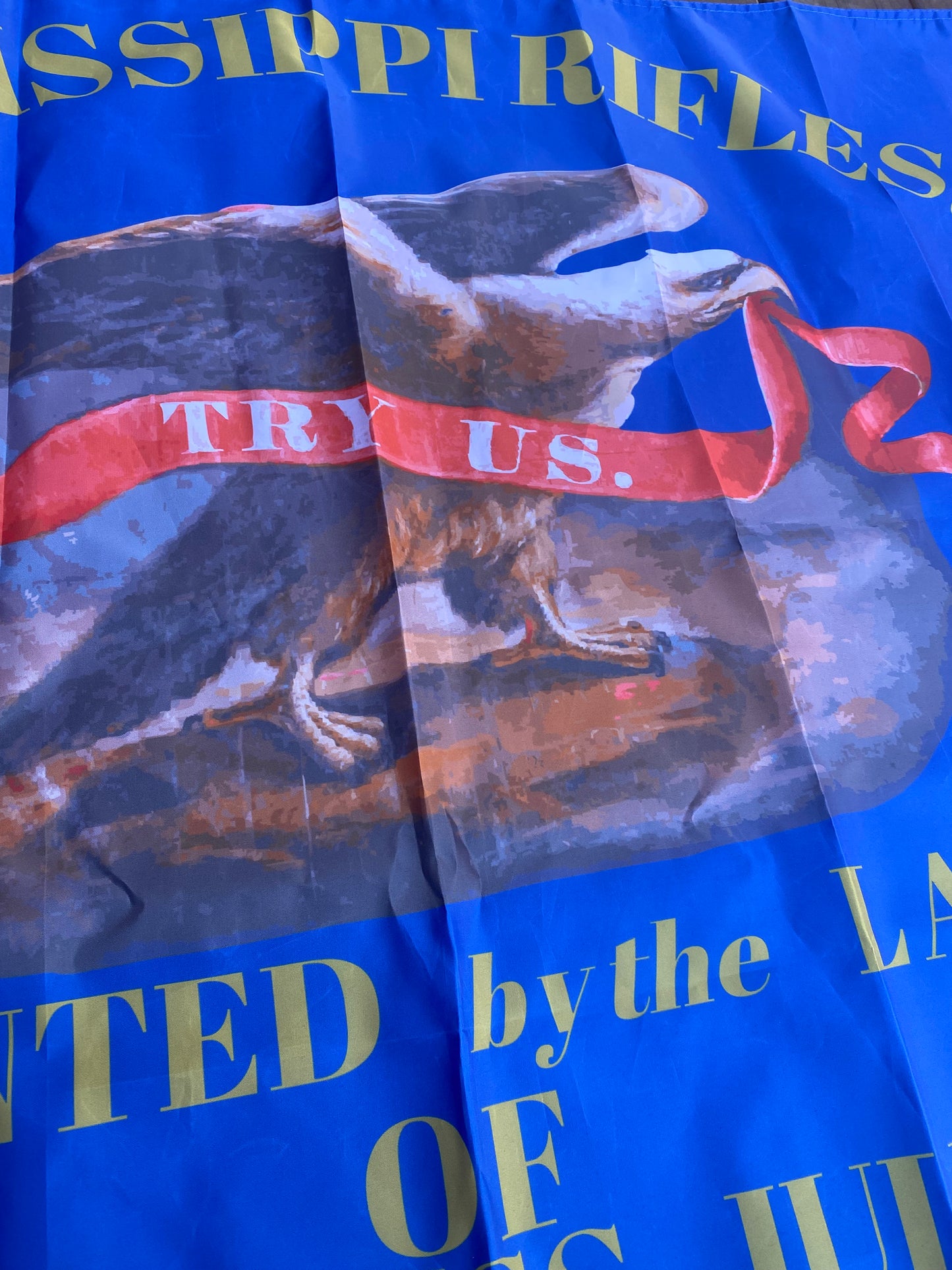 "Try us" - 10th Mississippi Company A Flag