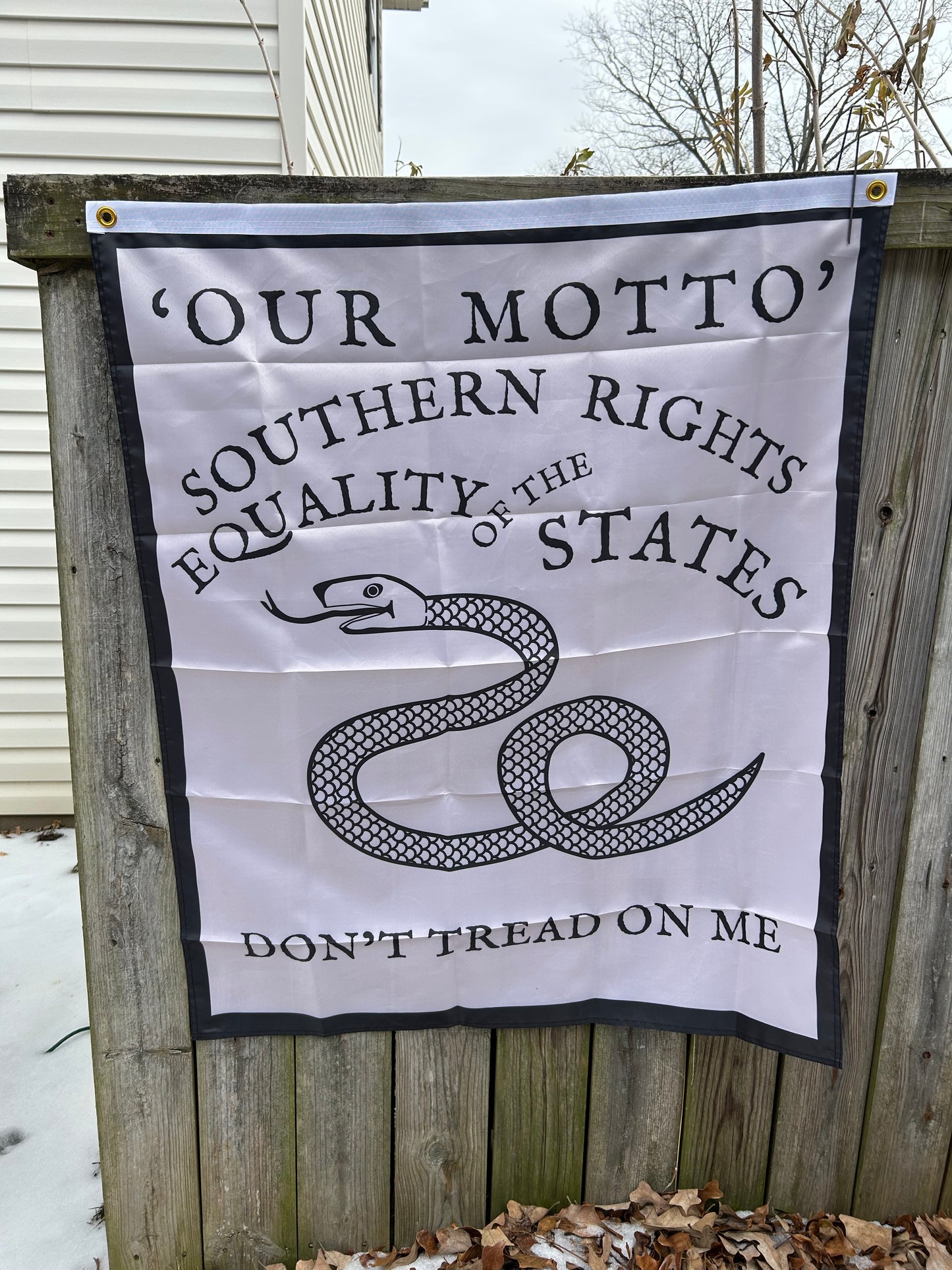 "Southern Rights" Savannah, Georgia Secession Banner House Flag