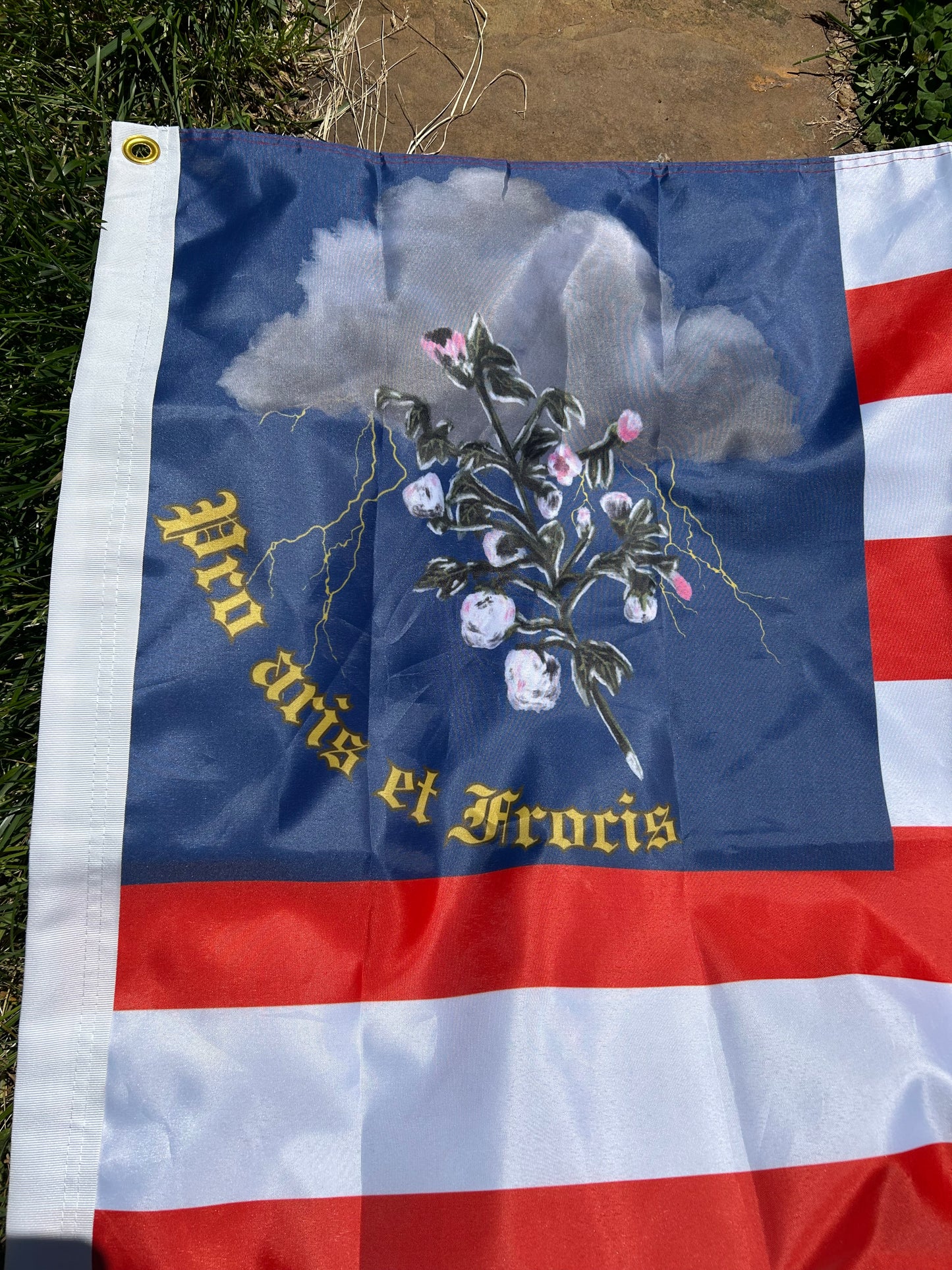 9th Mississippi Lafayette Guards Flag