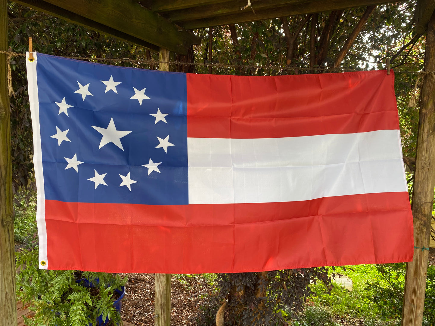 Vicksburg Courthouse Flag