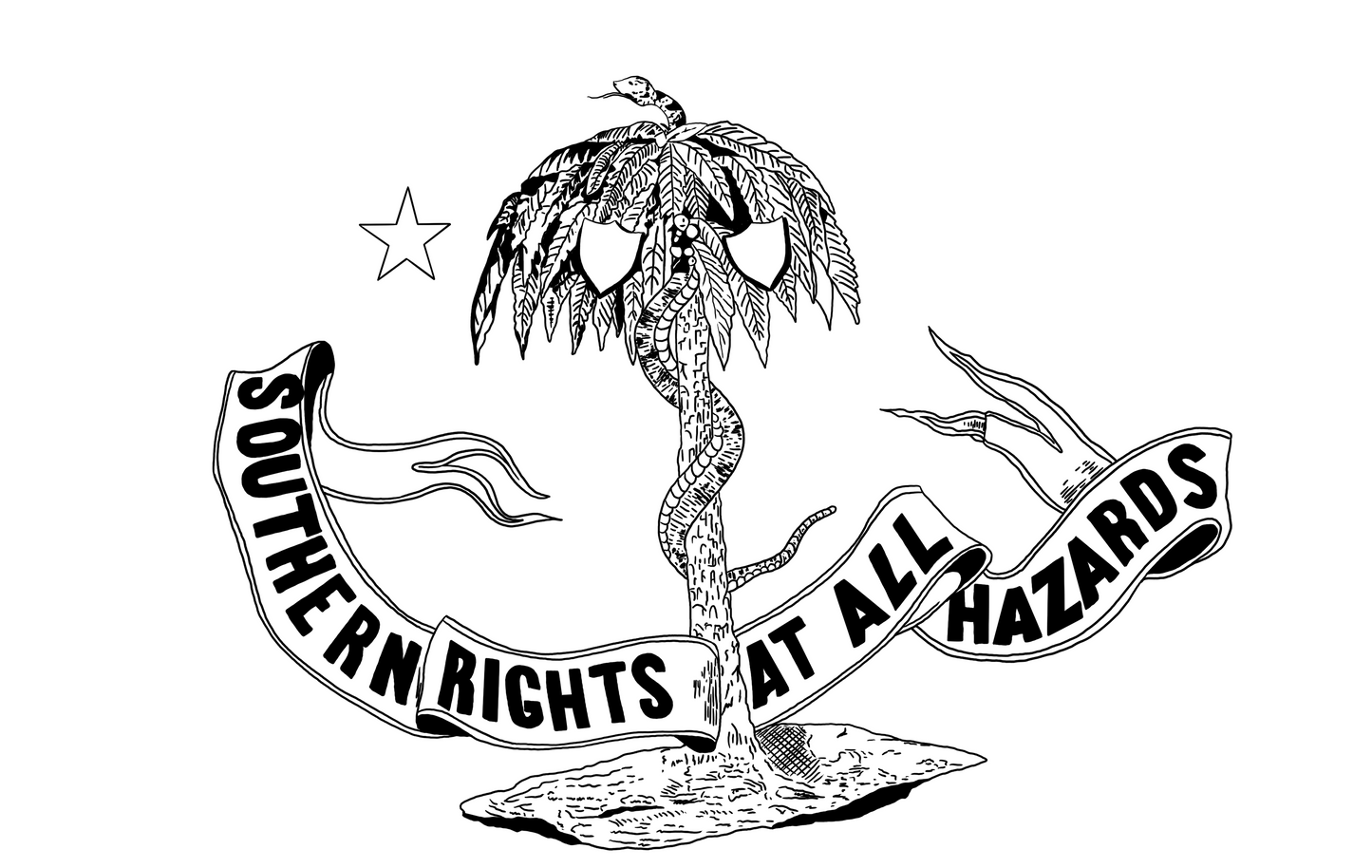 "Southern Rights" Columbia Flag