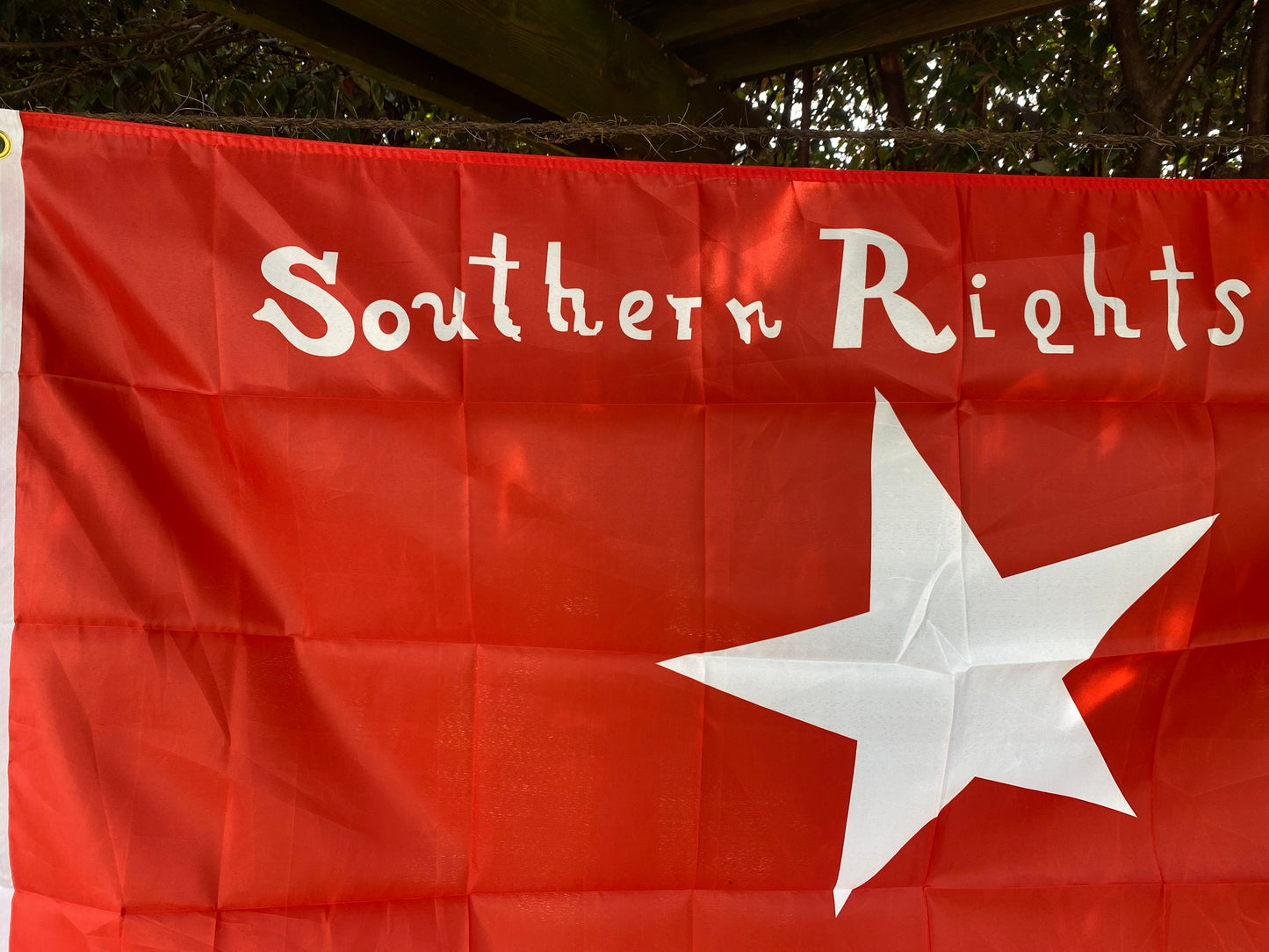 "Southern Rights" - South Carolina Palmetto Guard - Bleeding Kansas Flag