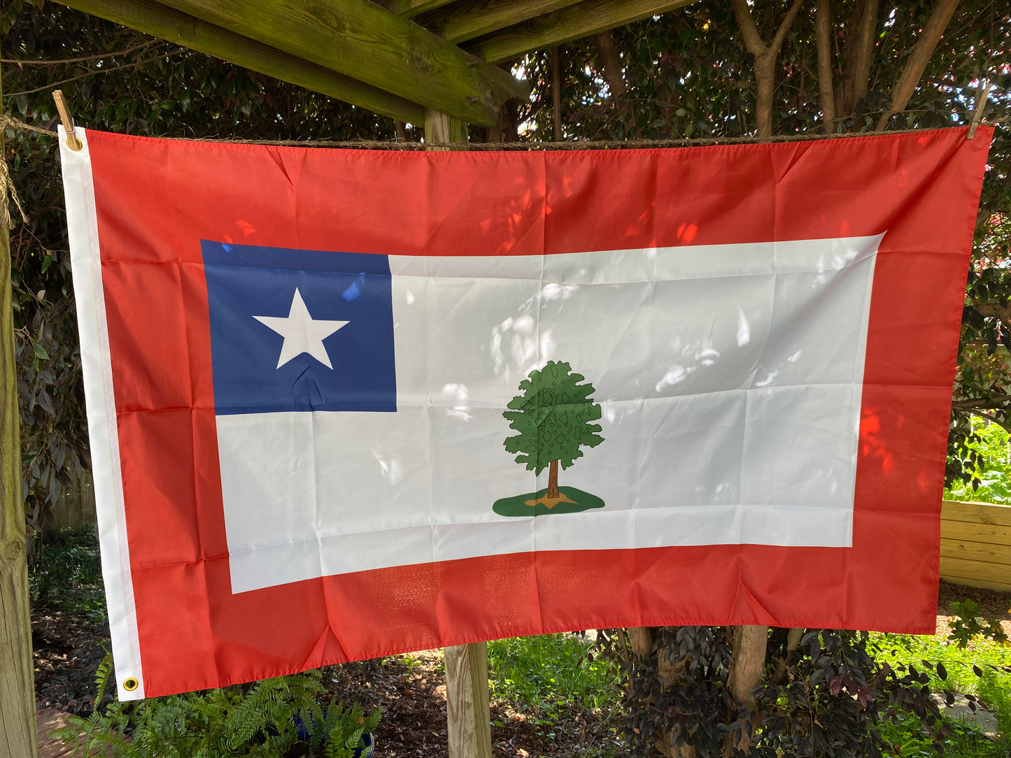 Republic of Mississippi House Flag - Booneville Example