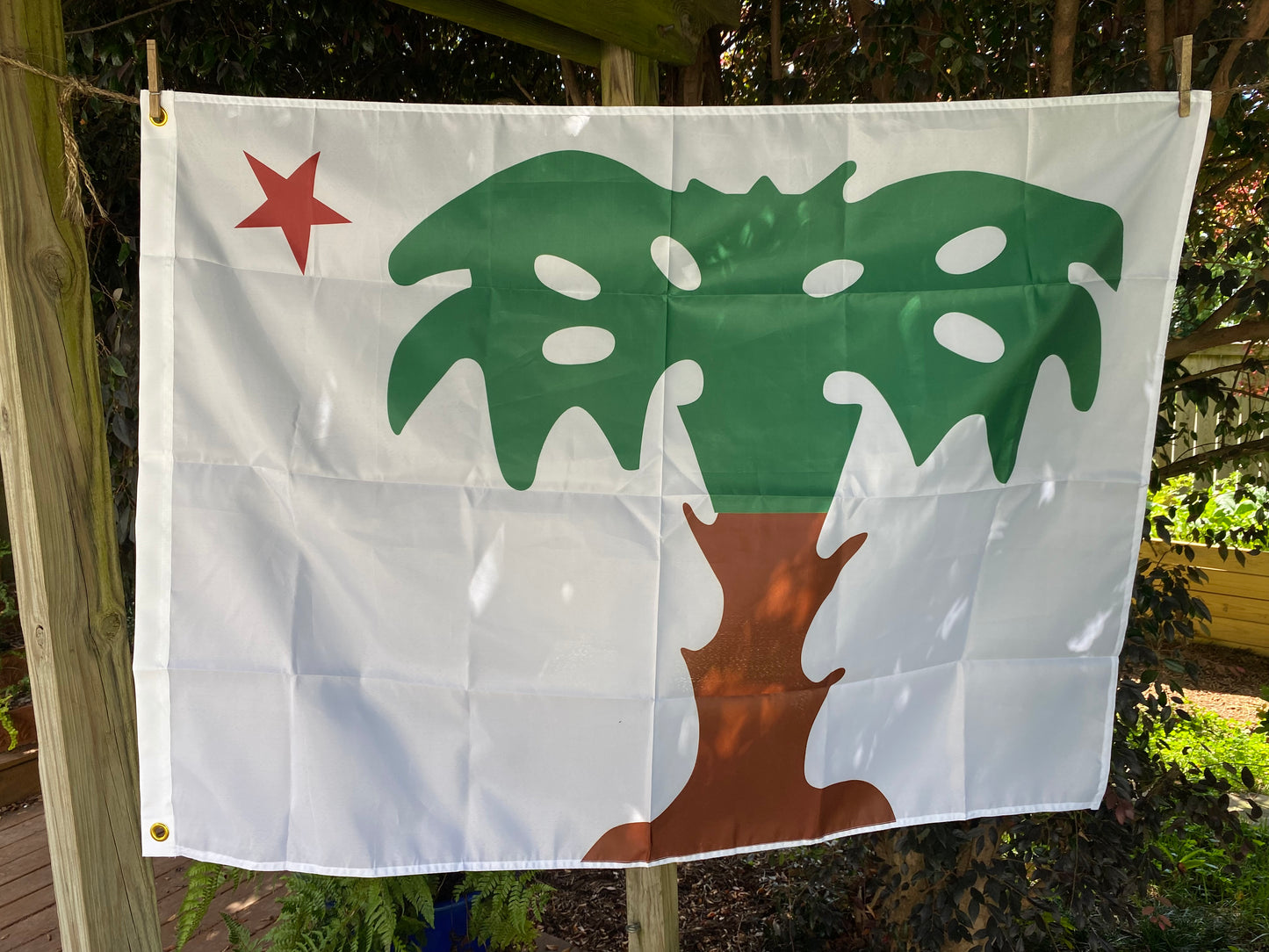 South Carolina Palmetto Guards House Flag