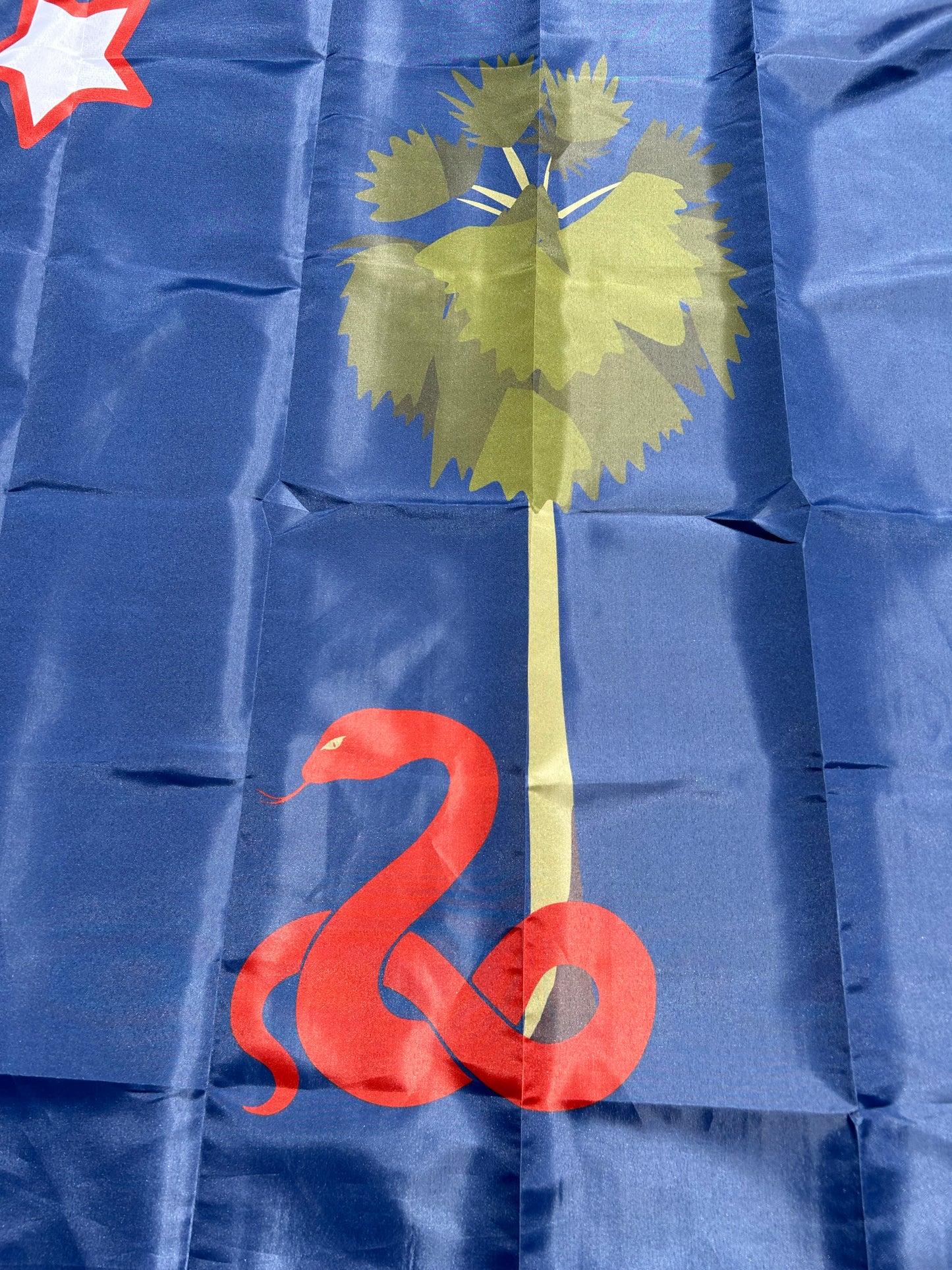 Charleston Secession Flag - November 1860