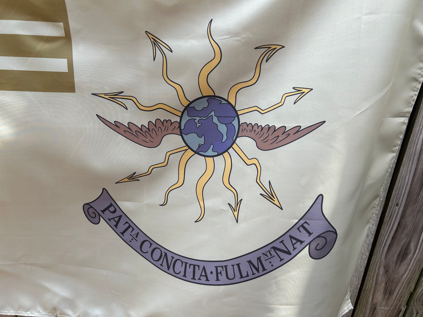 2nd Continental Light Dragoons Guidon Flag
