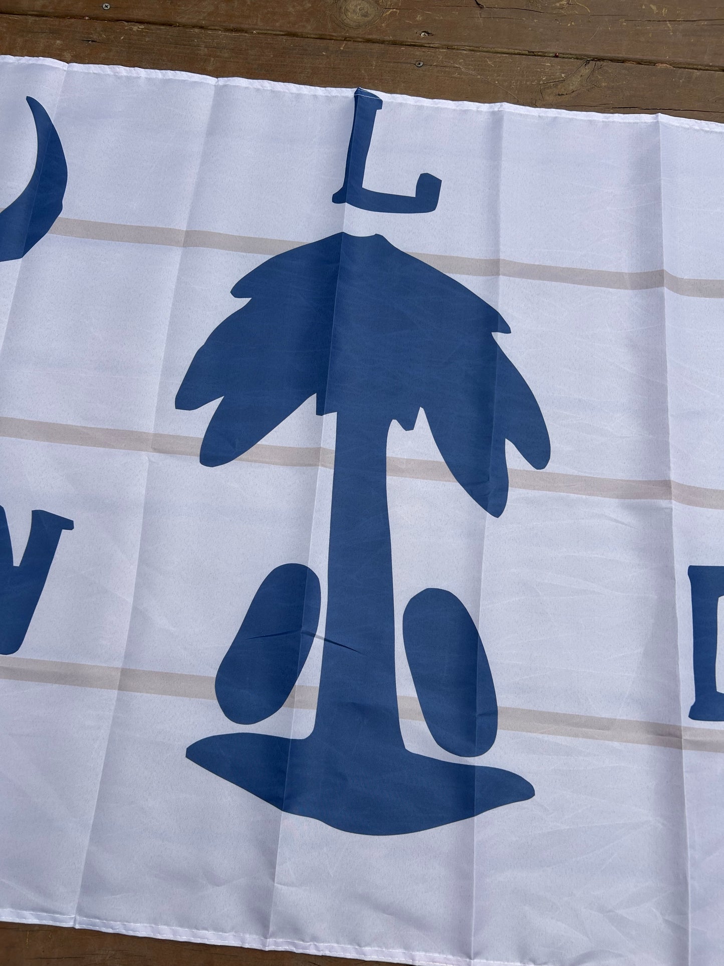 Williamsburg Light Dragoons Flag