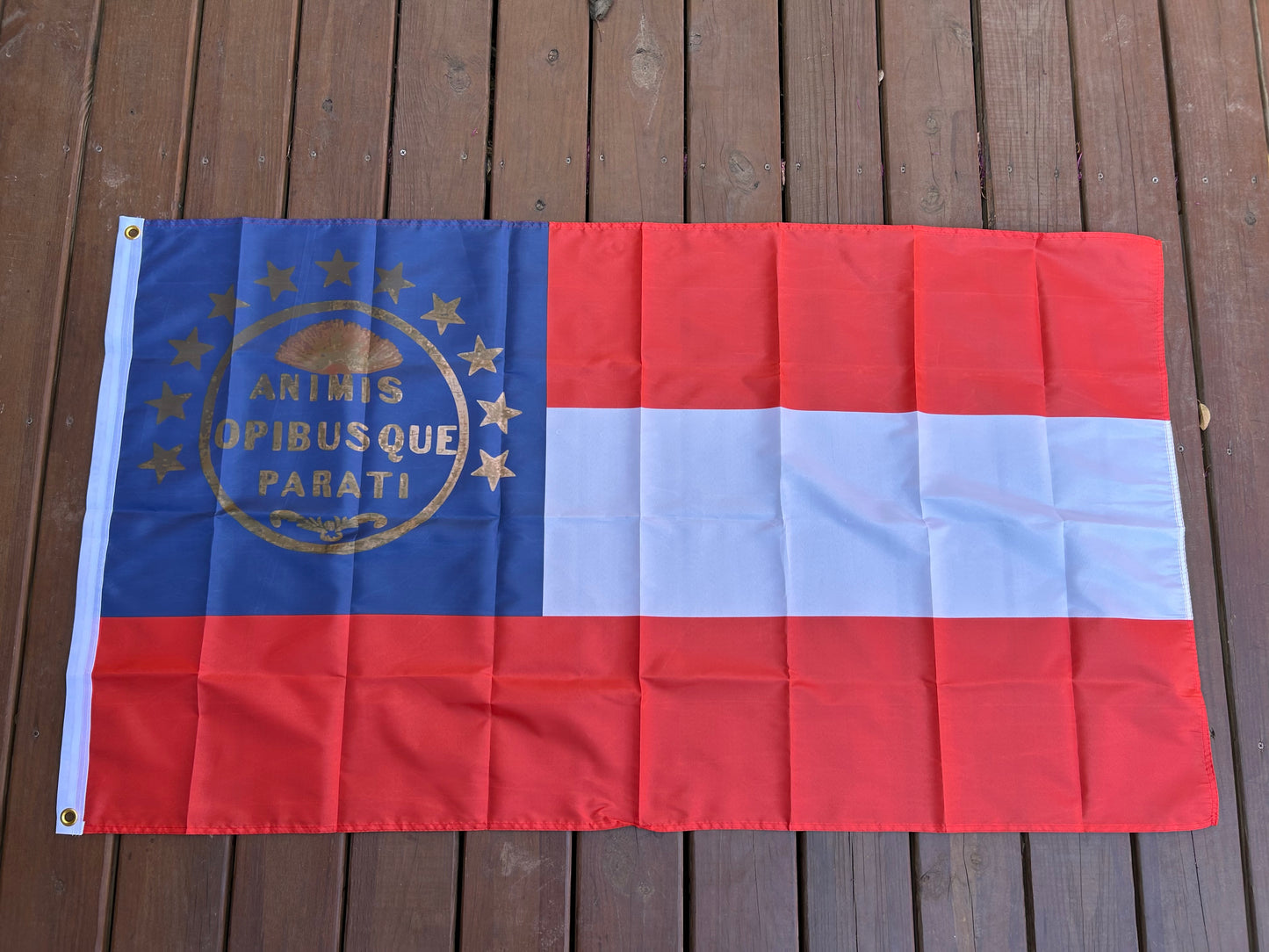 "ANIMIS OPIBUSQUE PARATI" South Carolina First National House Flag