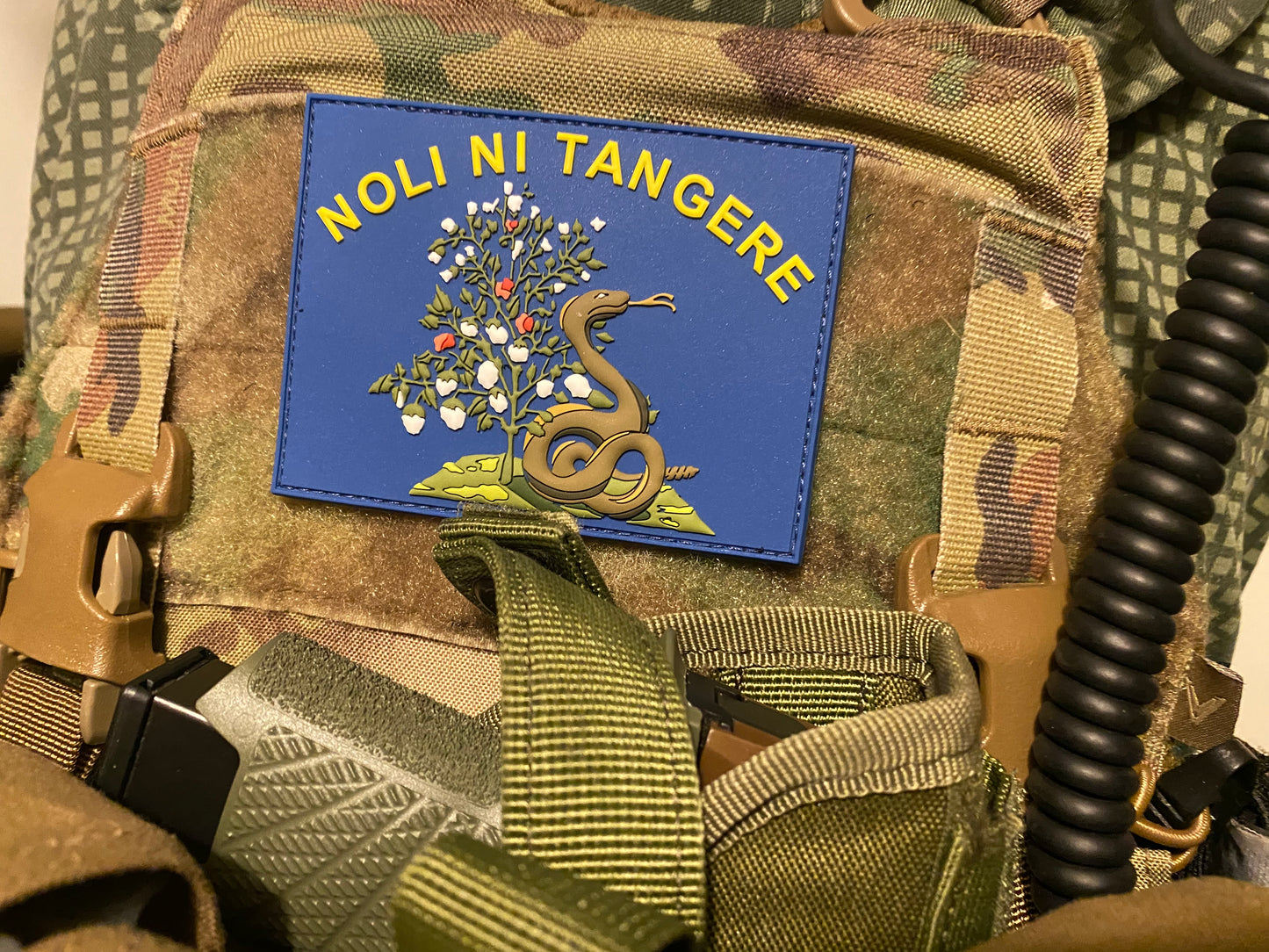 1st Alabama "Touch me not" PVC Morale Patch