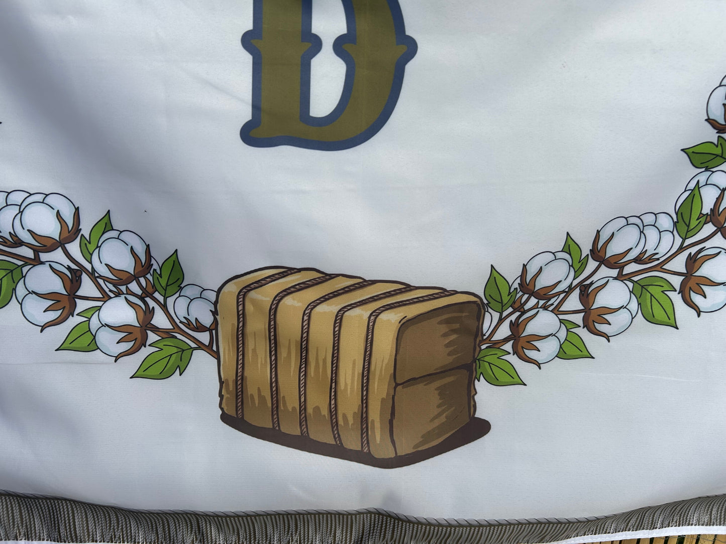 1st Georgia Volunteers - Southern Guards - Company D Flag