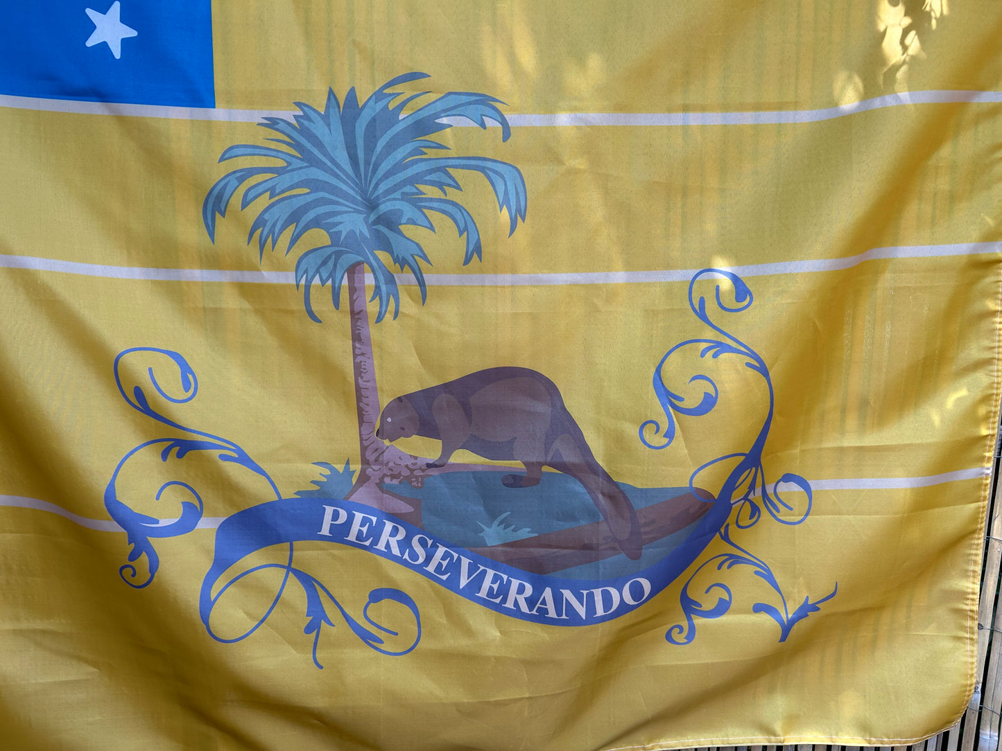 "3rd Virginia Detachment" Flag