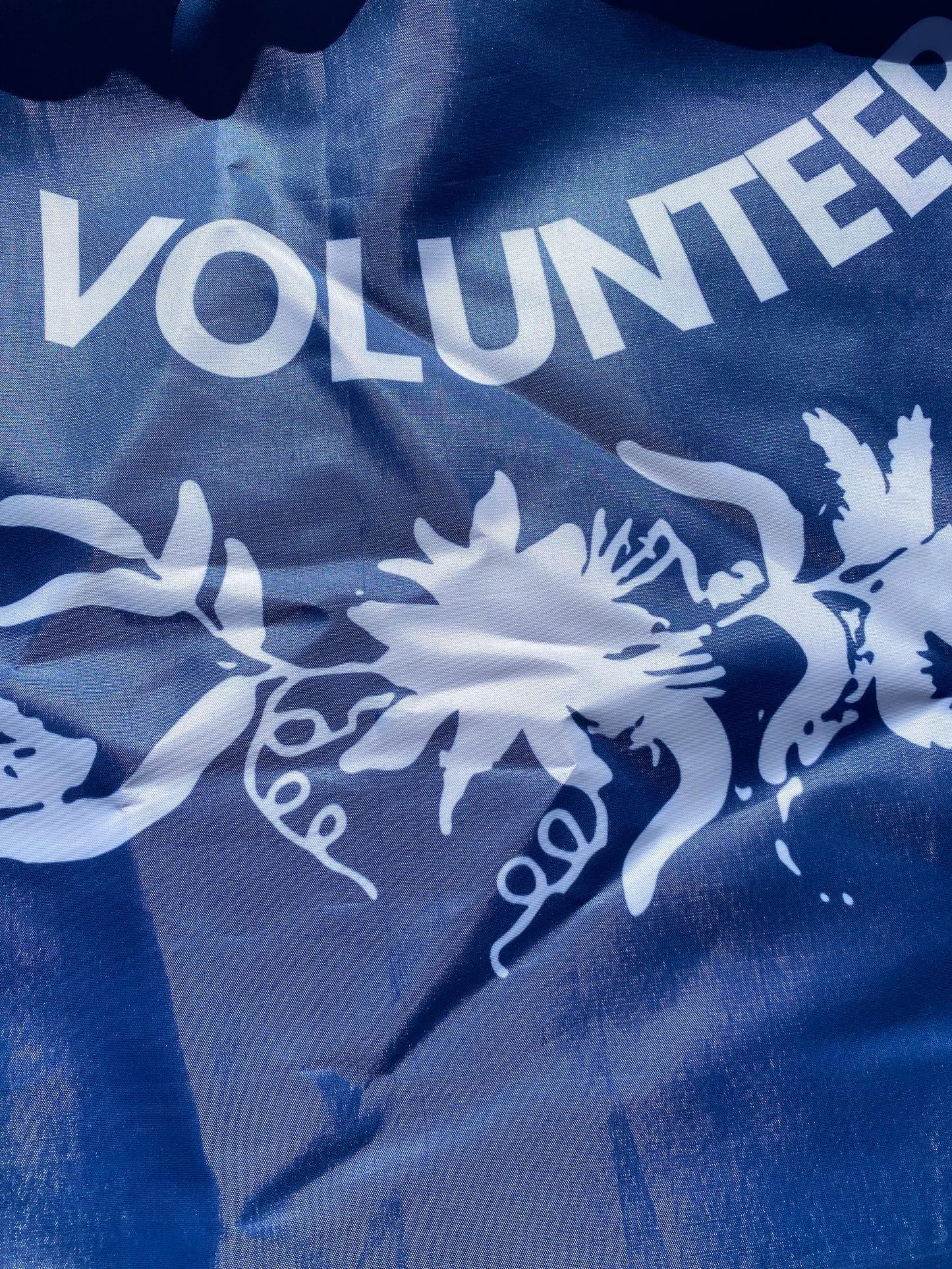 Gregg's 1st South Carolina Infantry Flag