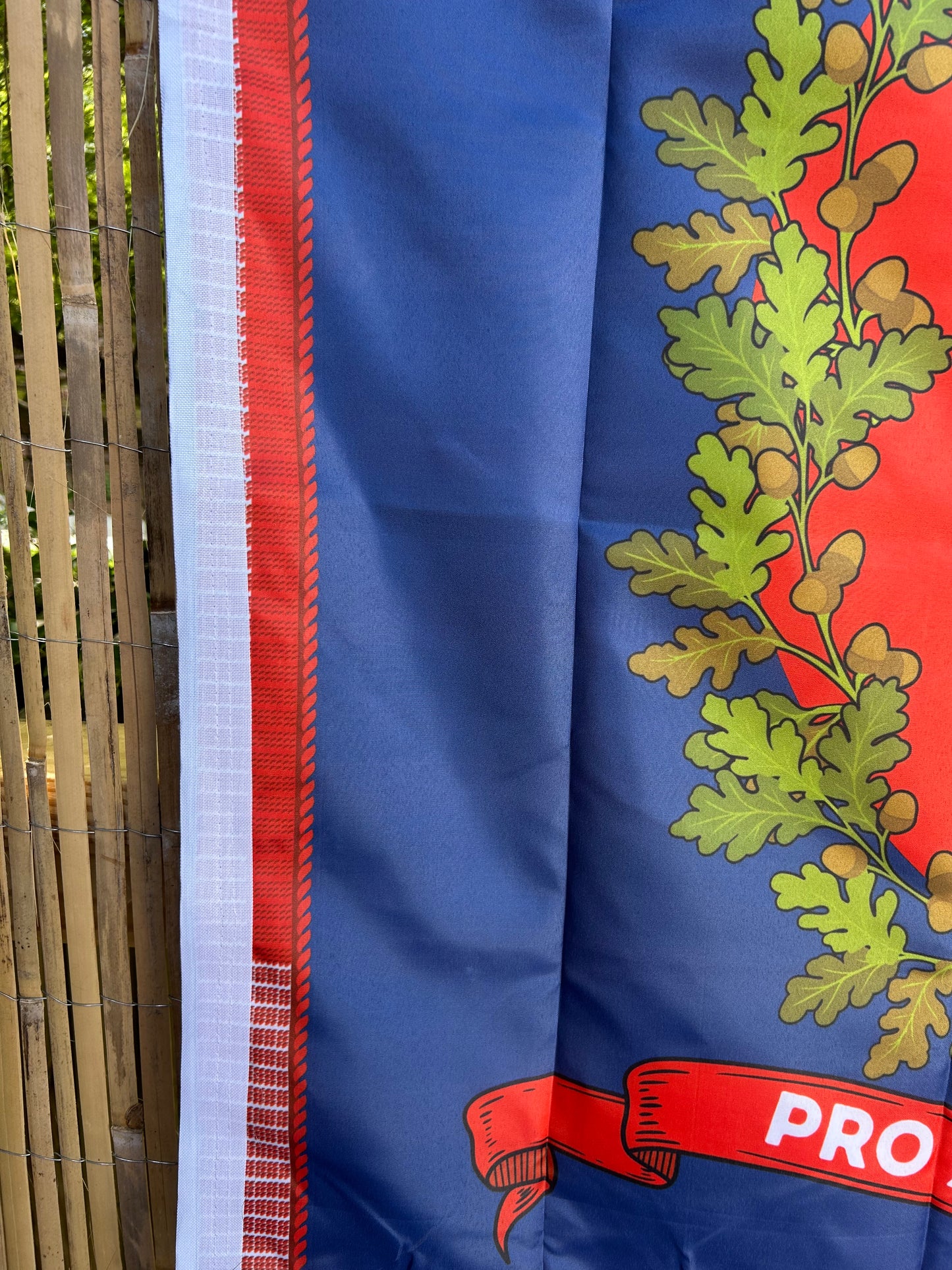 "Pro aris et focis" - "for hearth and home" - 3rd Georgia Regimental Flag - Print Error Close Out