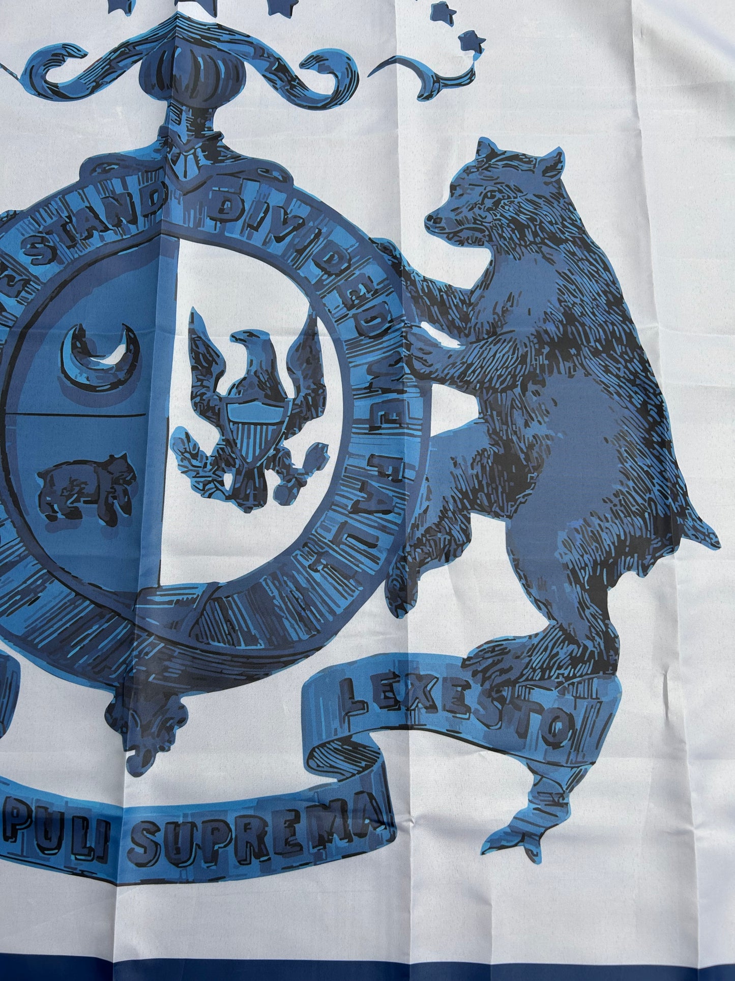 Saline Jackson Guards - Missouri State Guard Regimental Flags